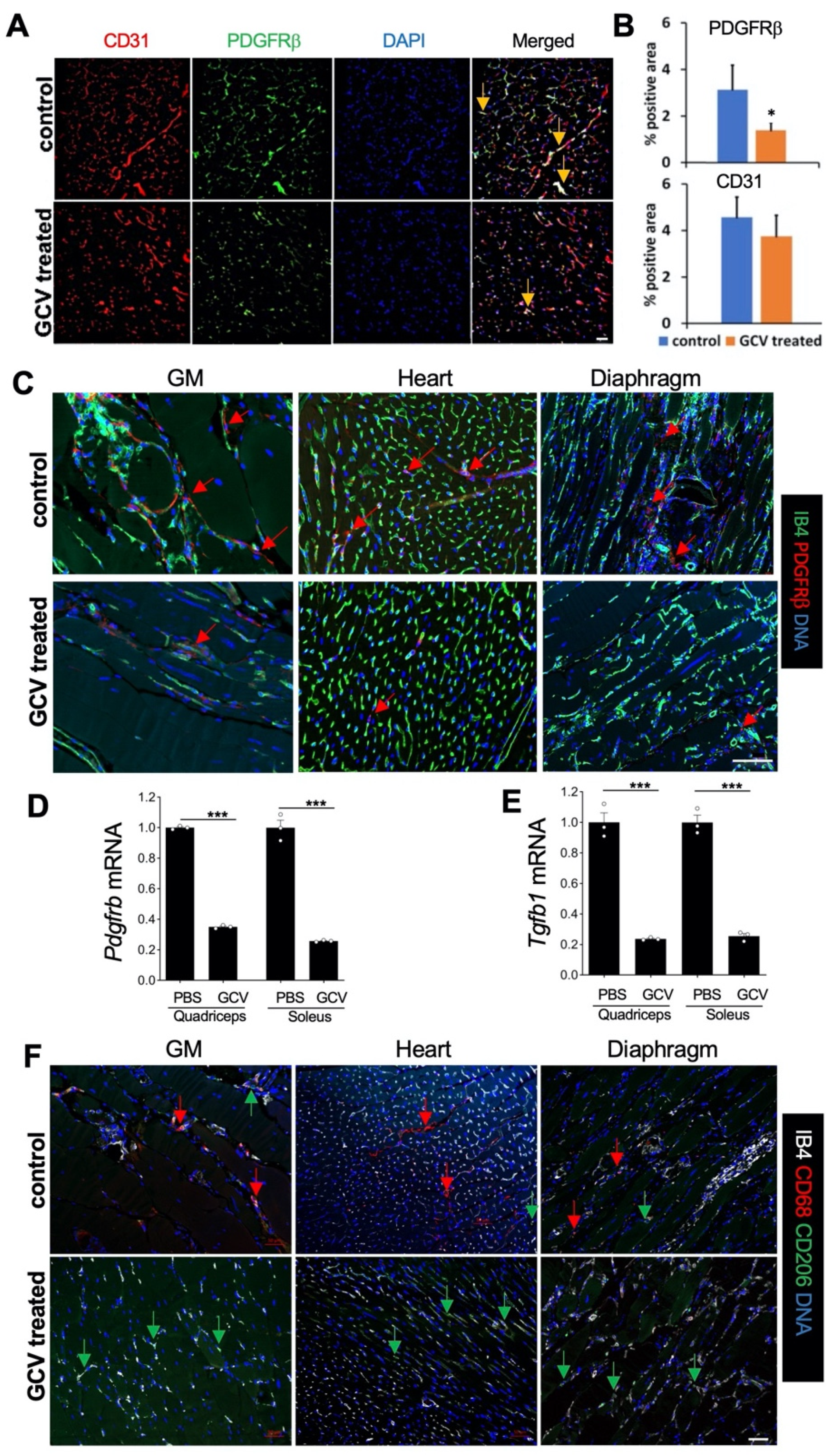 Biomolecules 11 01519 g002