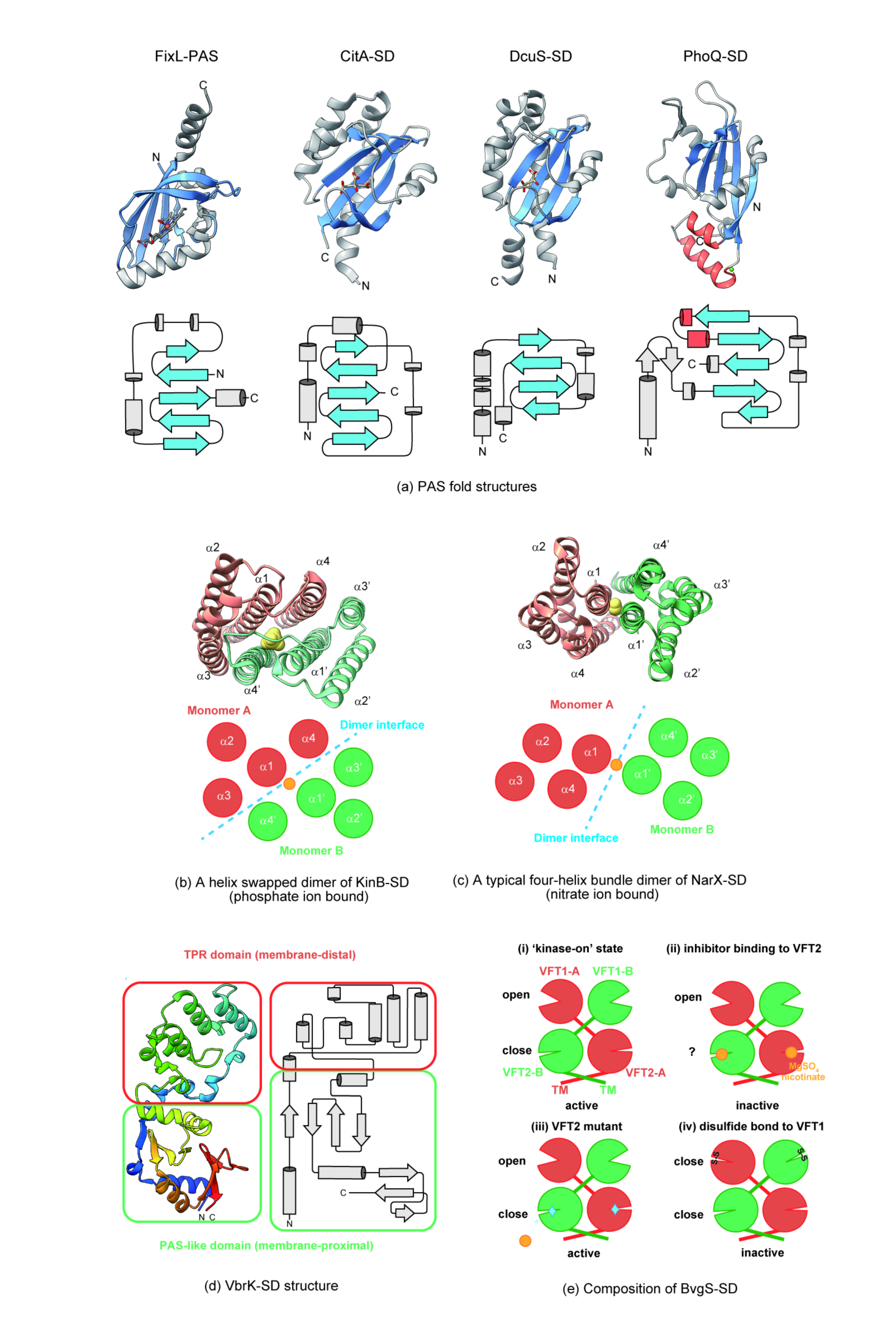 Biomolecules 11 01524 g002 Biomolecules 11 01524 g002