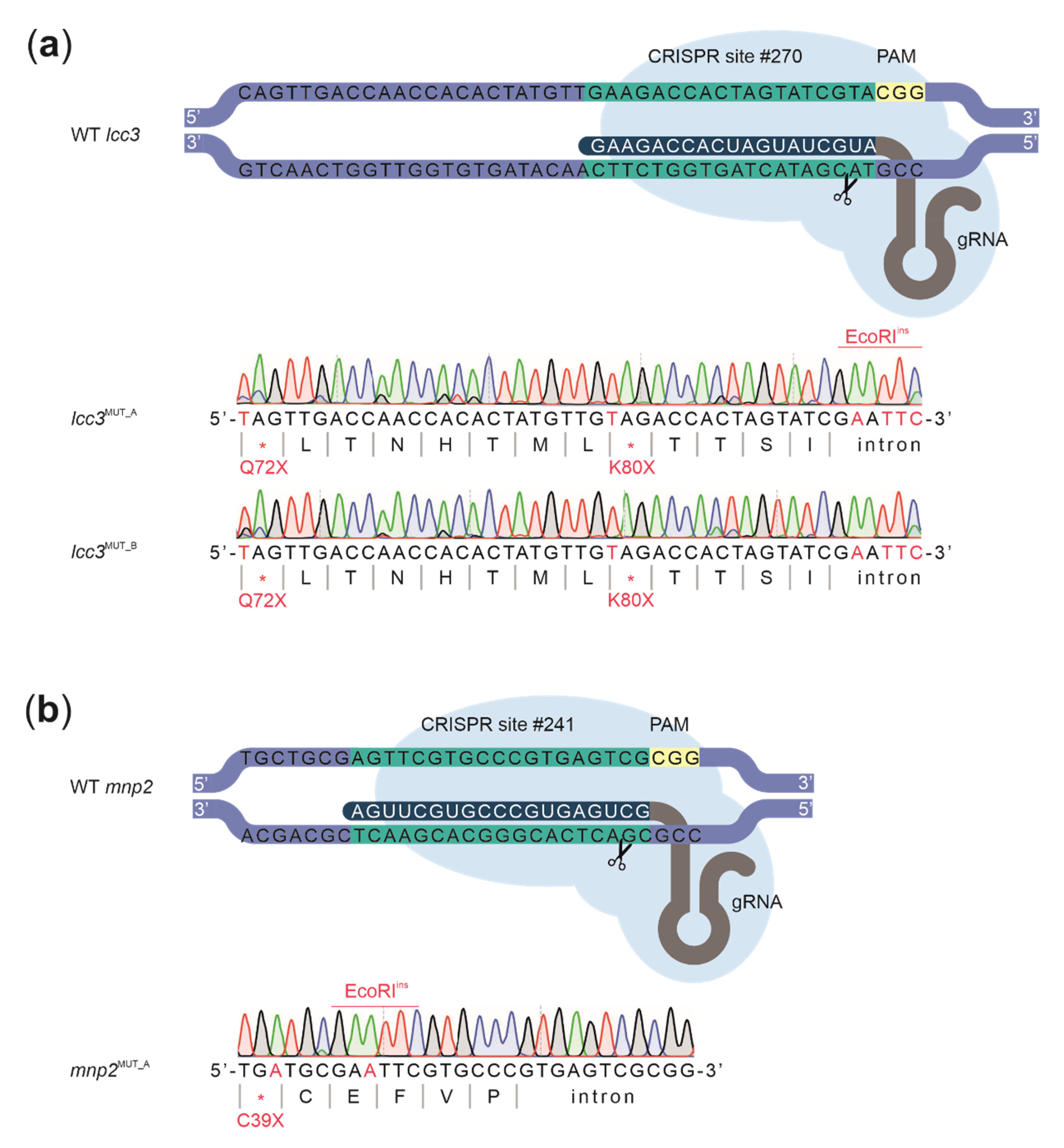 Biomolecules 11 01526 g005
