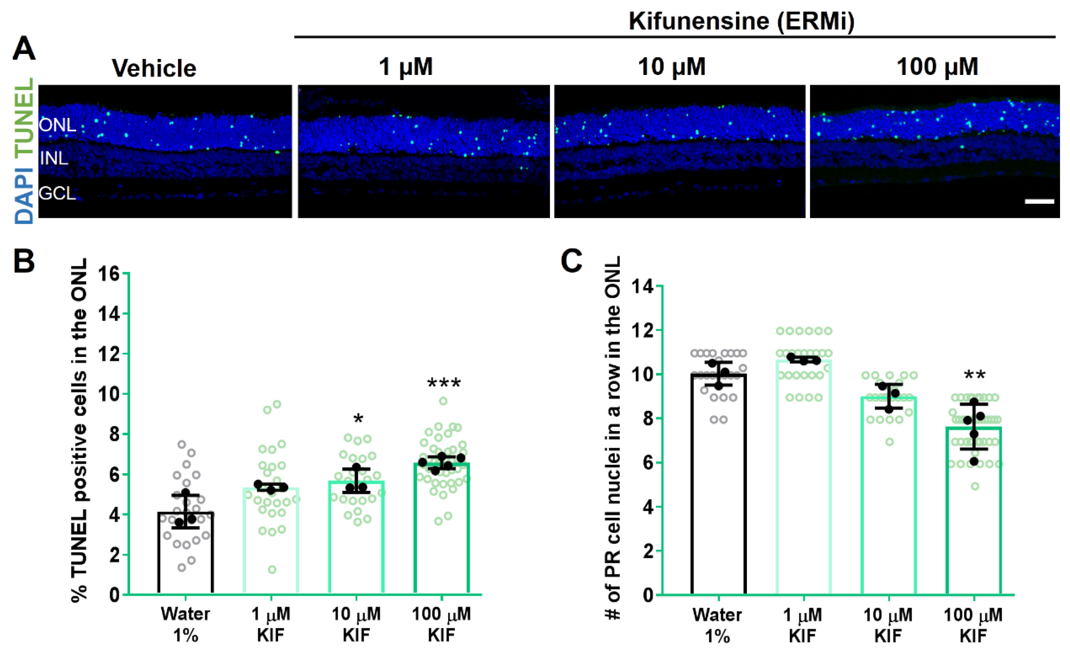 Biomolecules 11 01528 g003