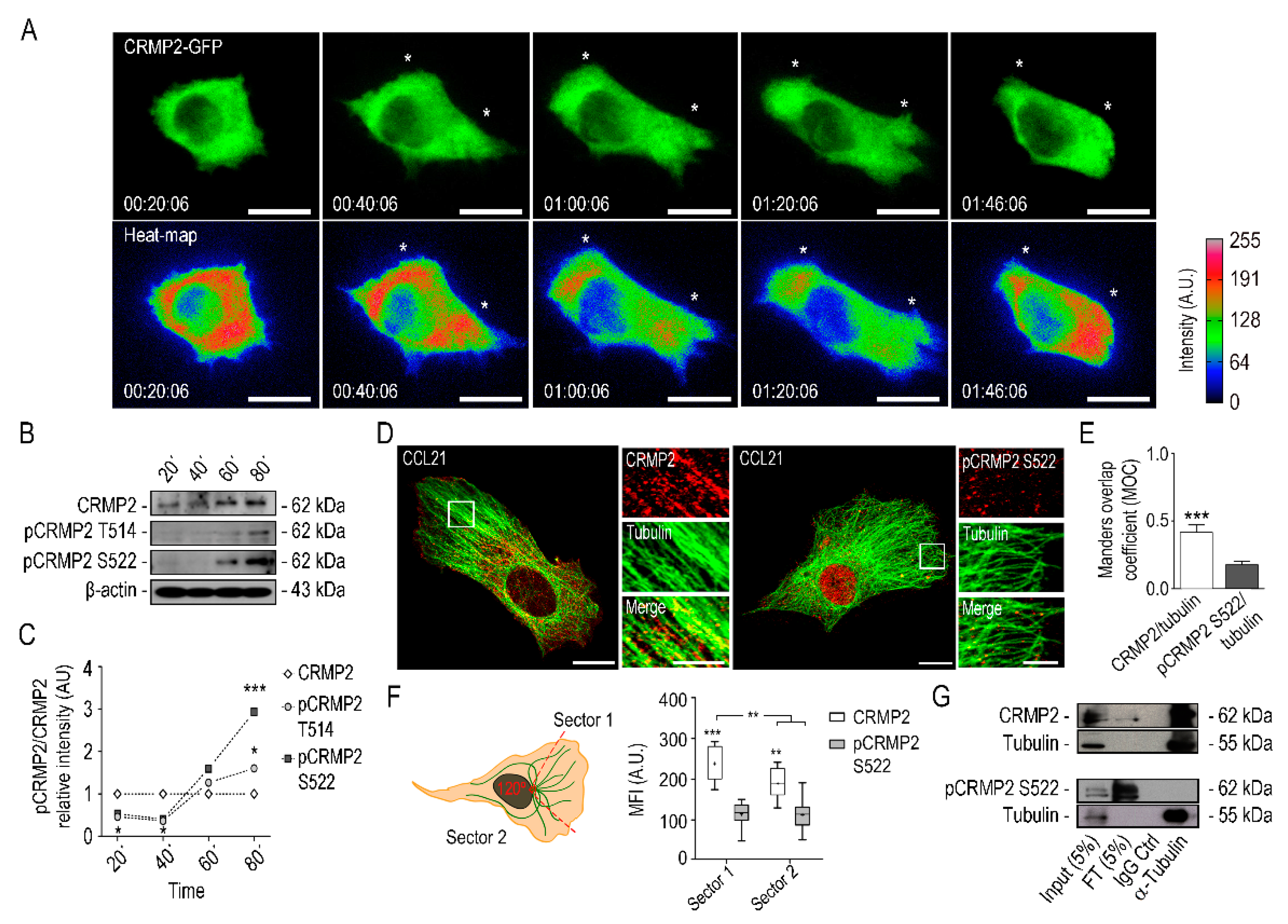 Biomolecules 11 01533 g003