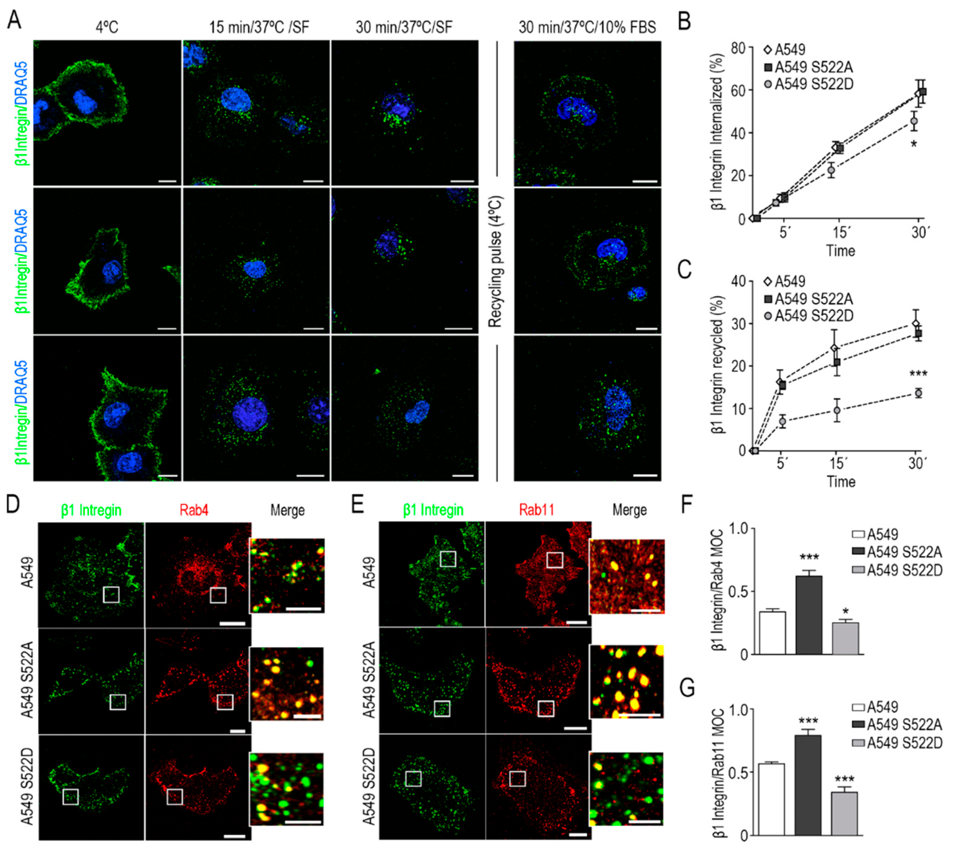 Biomolecules 11 01533 g005
