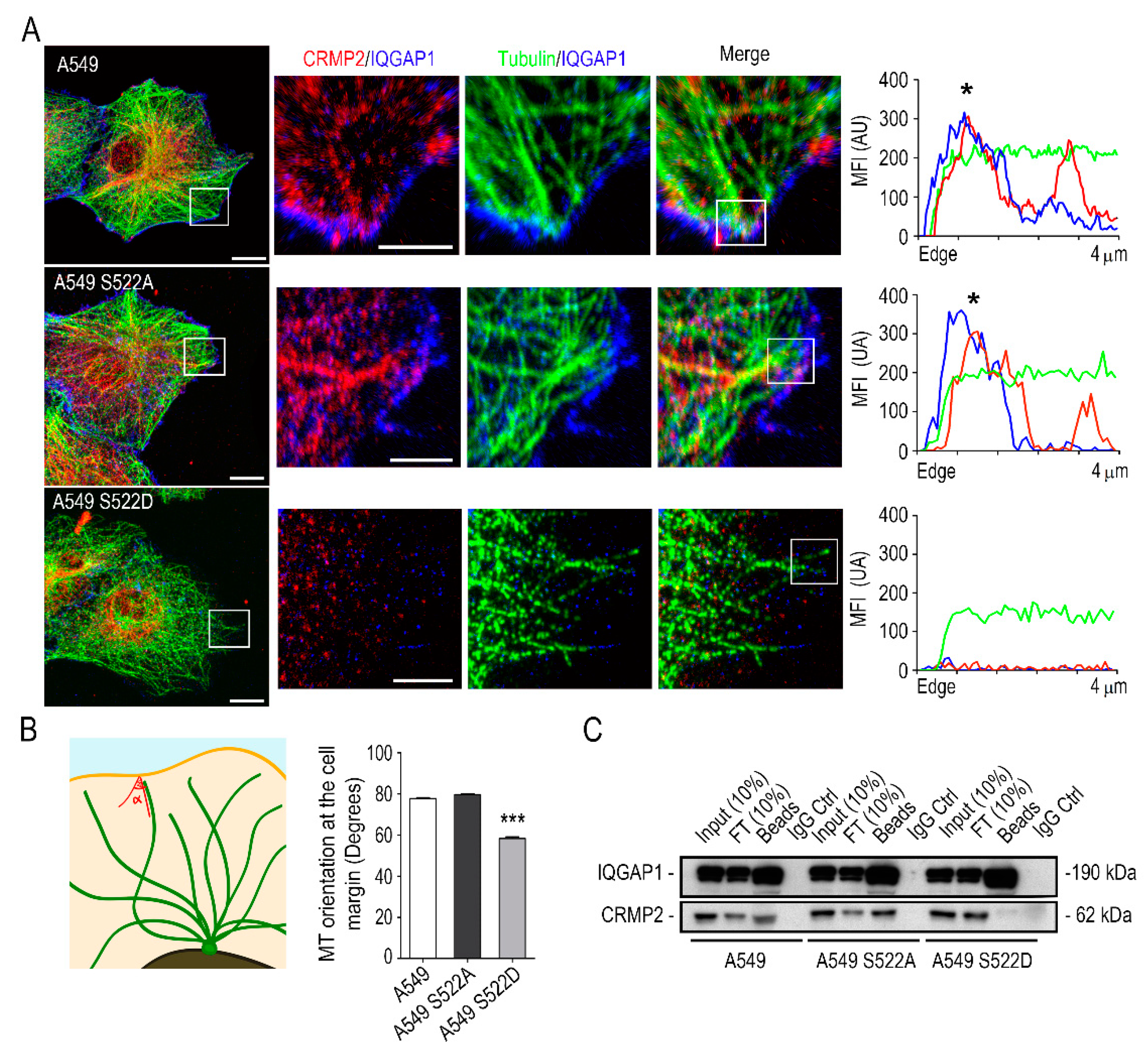 Biomolecules 11 01533 g007