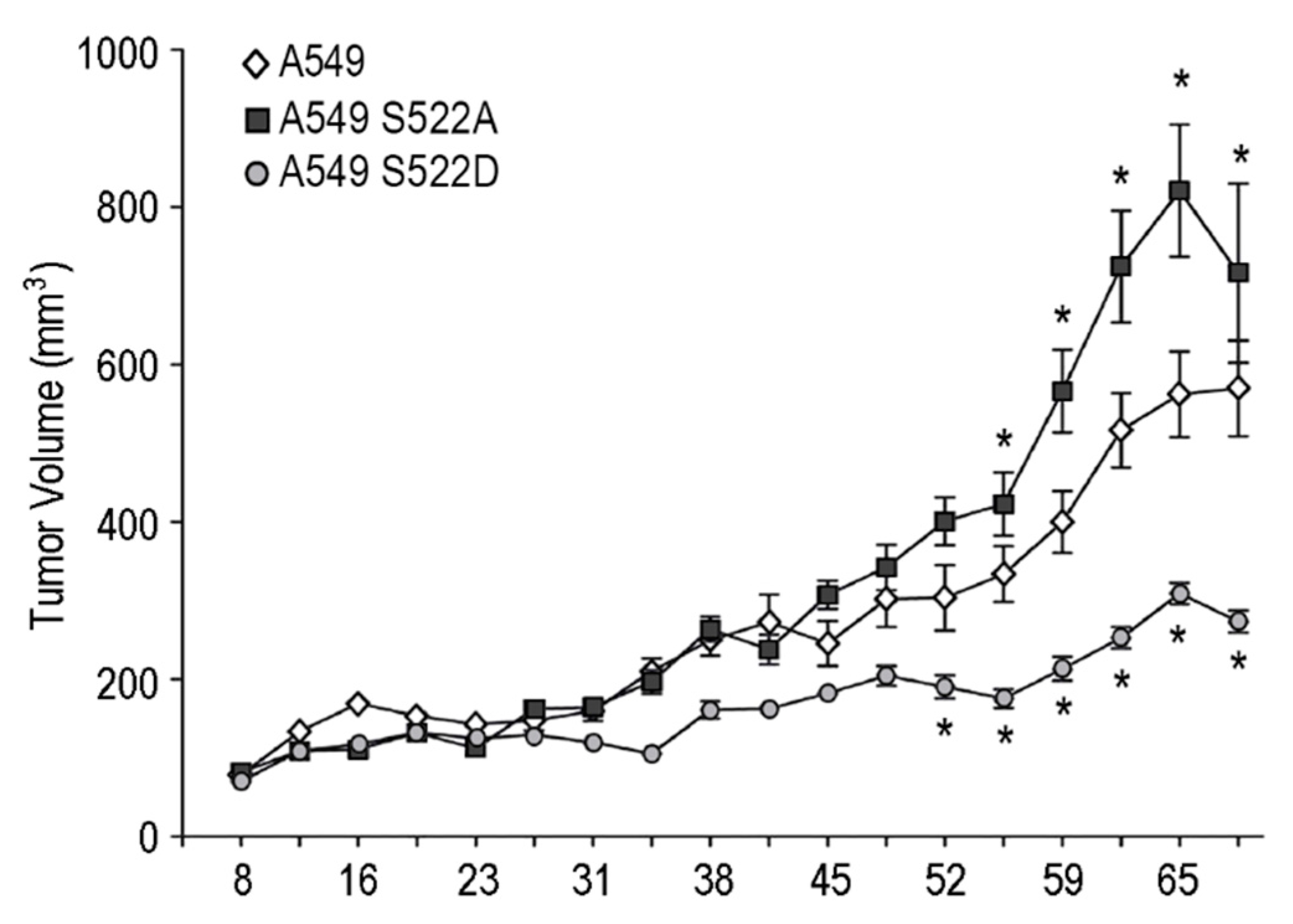 Biomolecules 11 01533 g008
