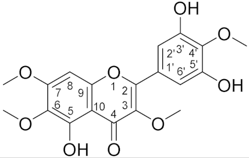 Biomolecules 11 01534 i001