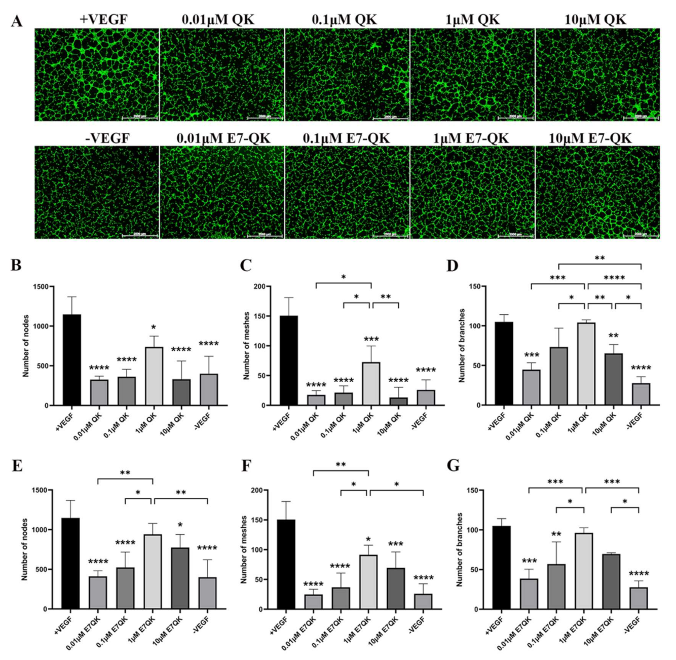 Biomolecules 11 01538 g002 Biomolecules 11 01538 g002