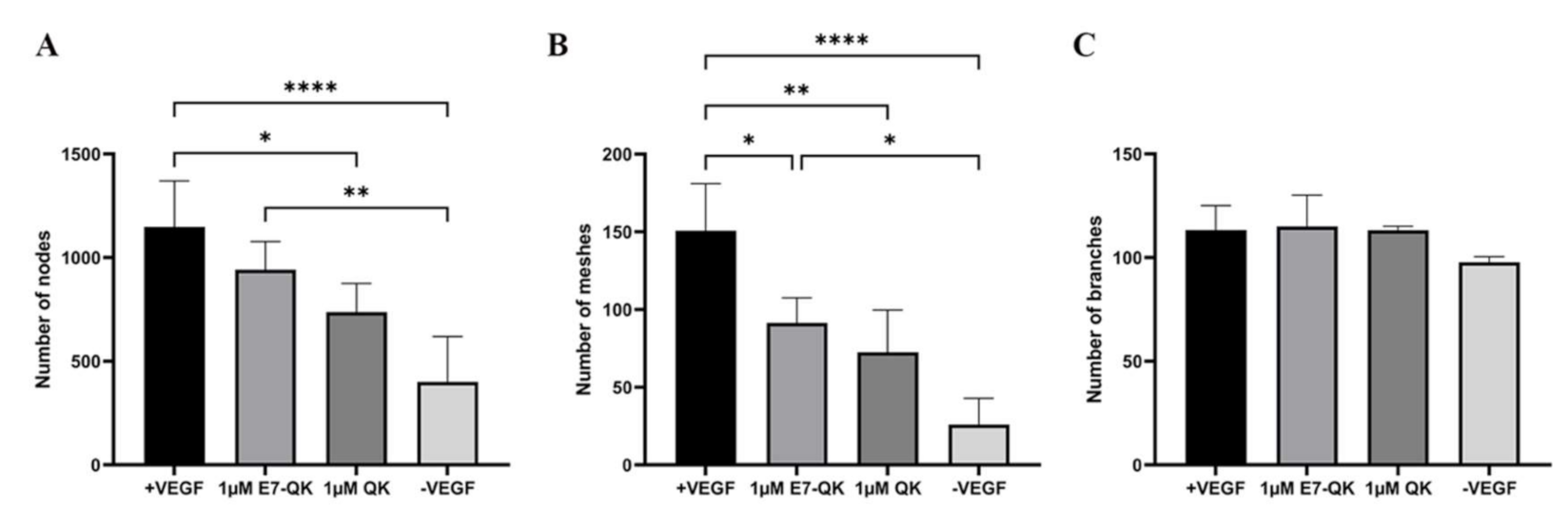 Biomolecules 11 01538 g003 Biomolecules 11 01538 g003