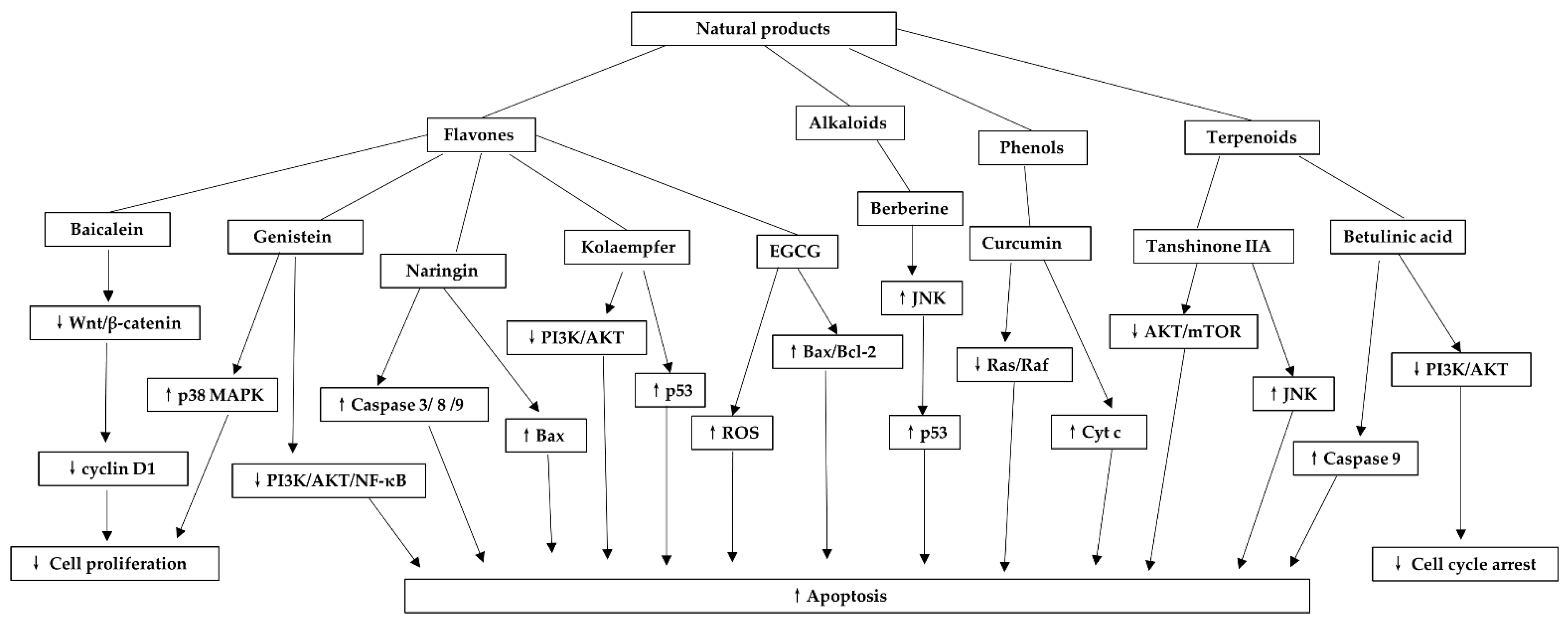 Biomolecules 11 01539 g005 550