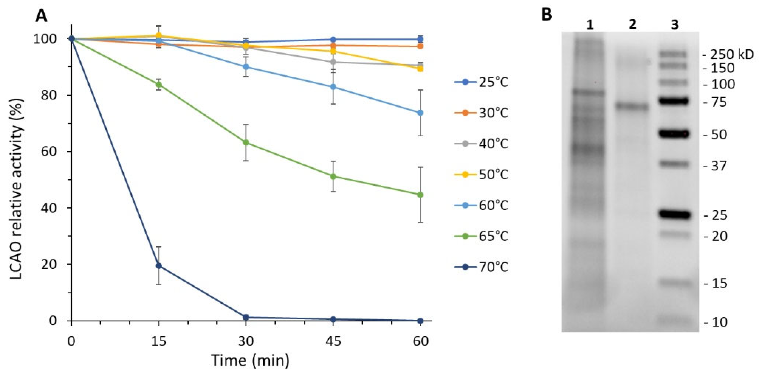 Biomolecules 11 01540 g001 550