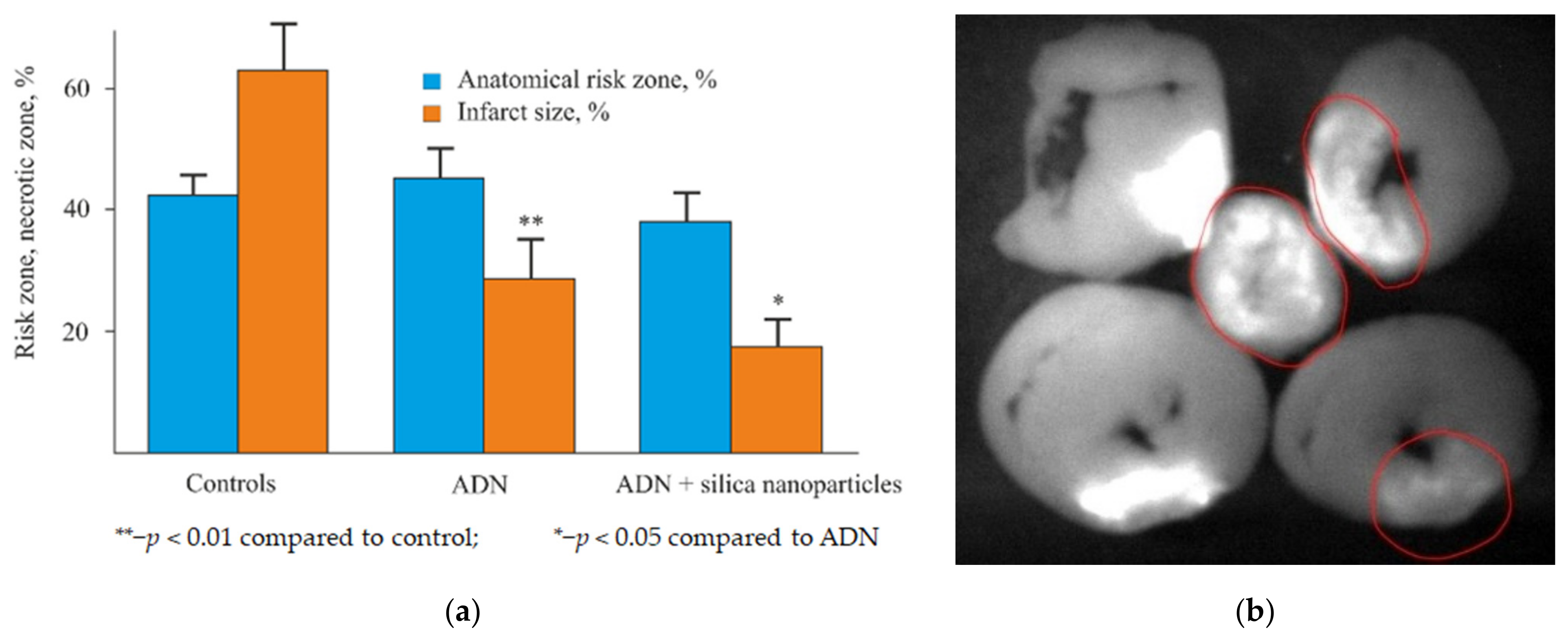 Biomolecules 11 01544 g001