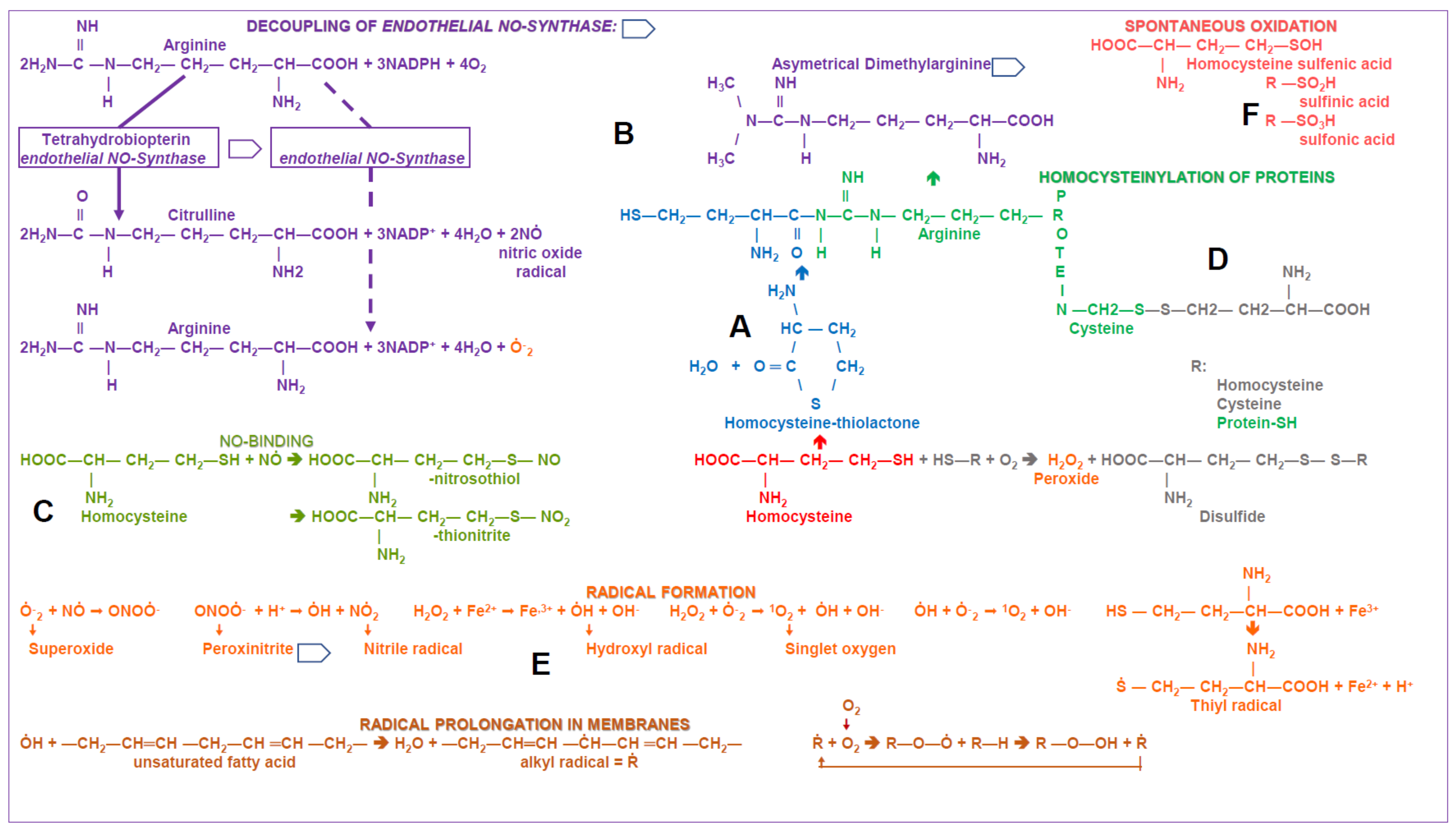 Biomolecules 11 01546 g004 Biomolecules 11 01546 g004