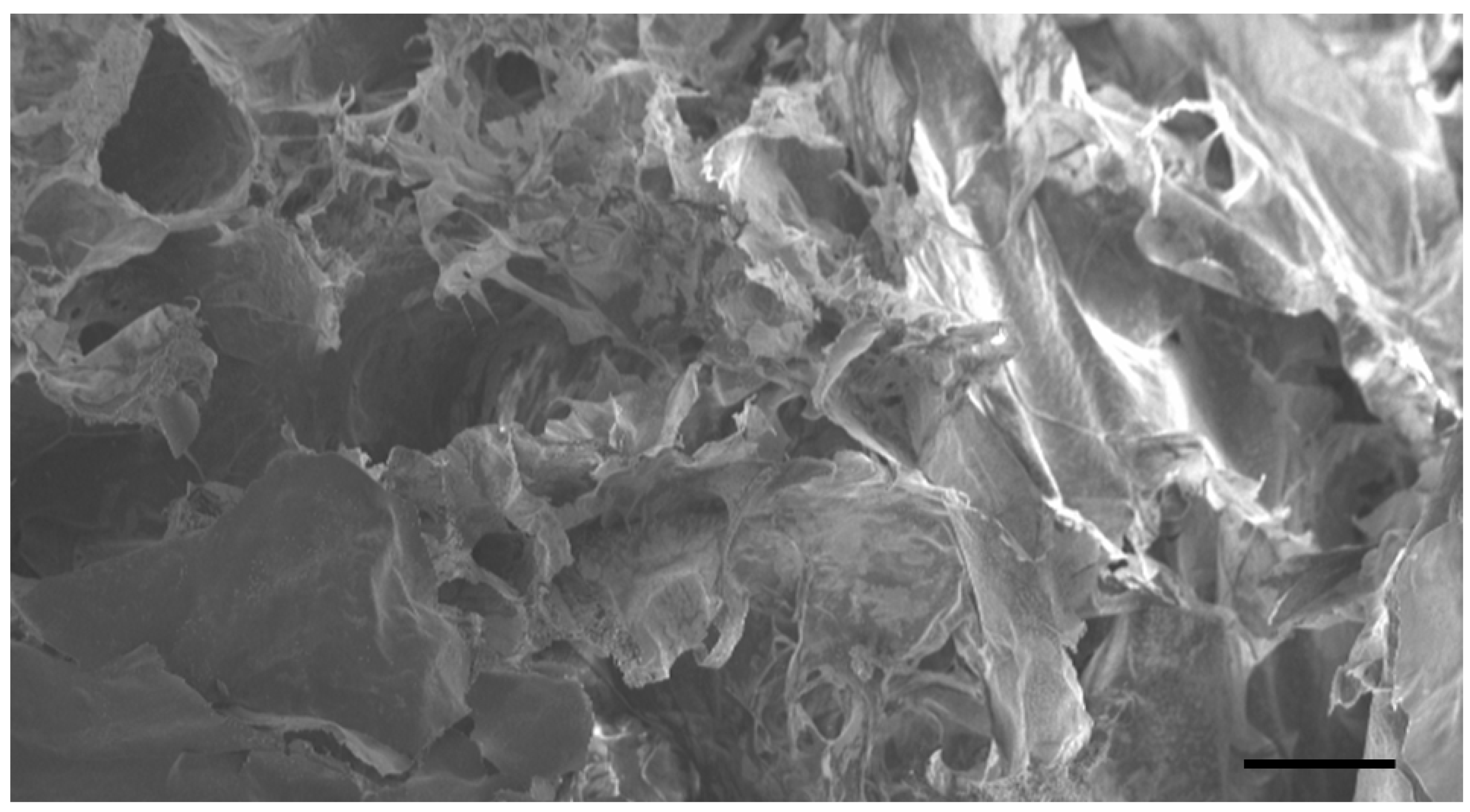 Biomolecules 11 01547 g001 Biomolecules 11 01547 g001