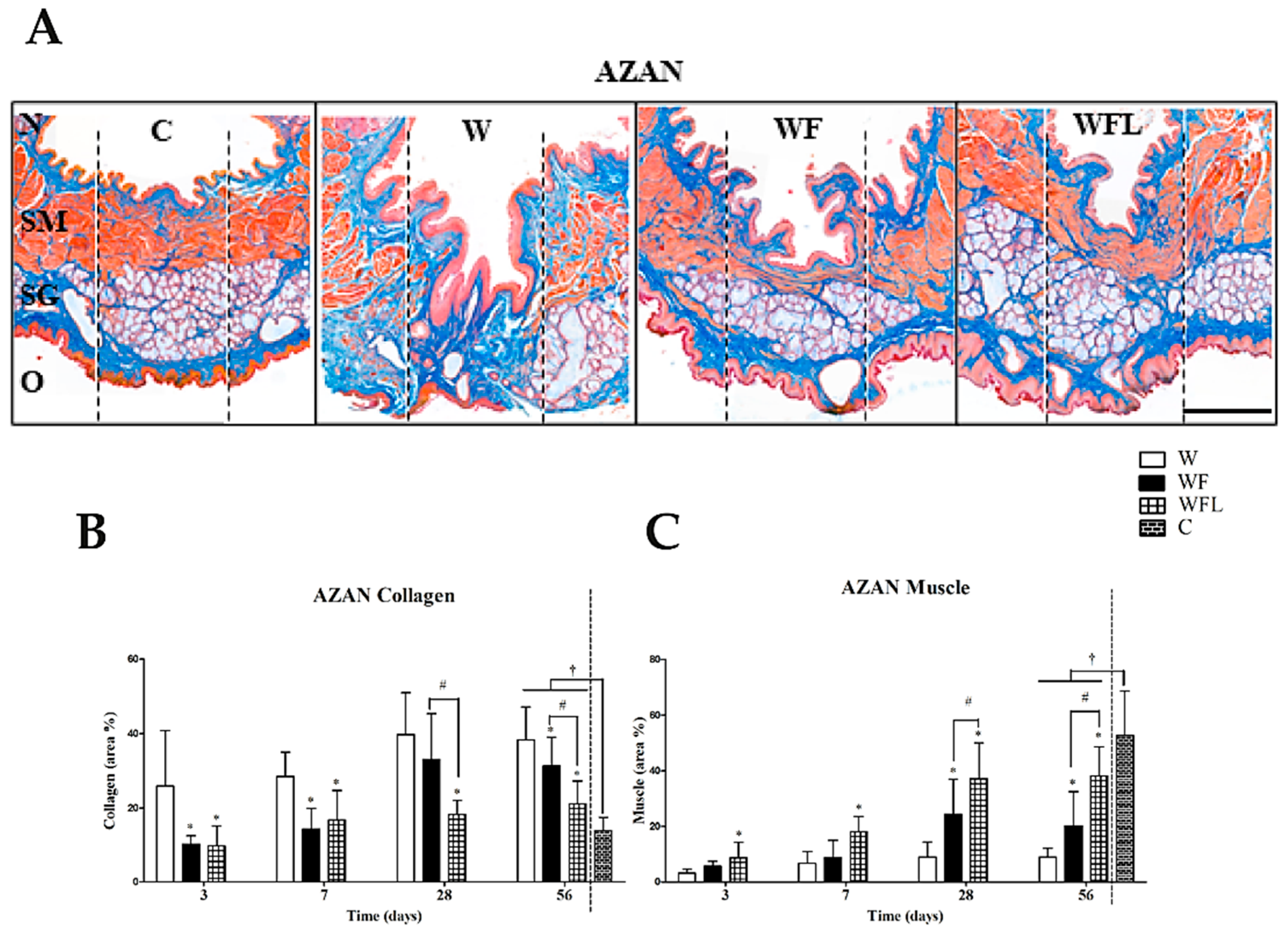 Biomolecules 11 01547 g004 Biomolecules 11 01547 g004