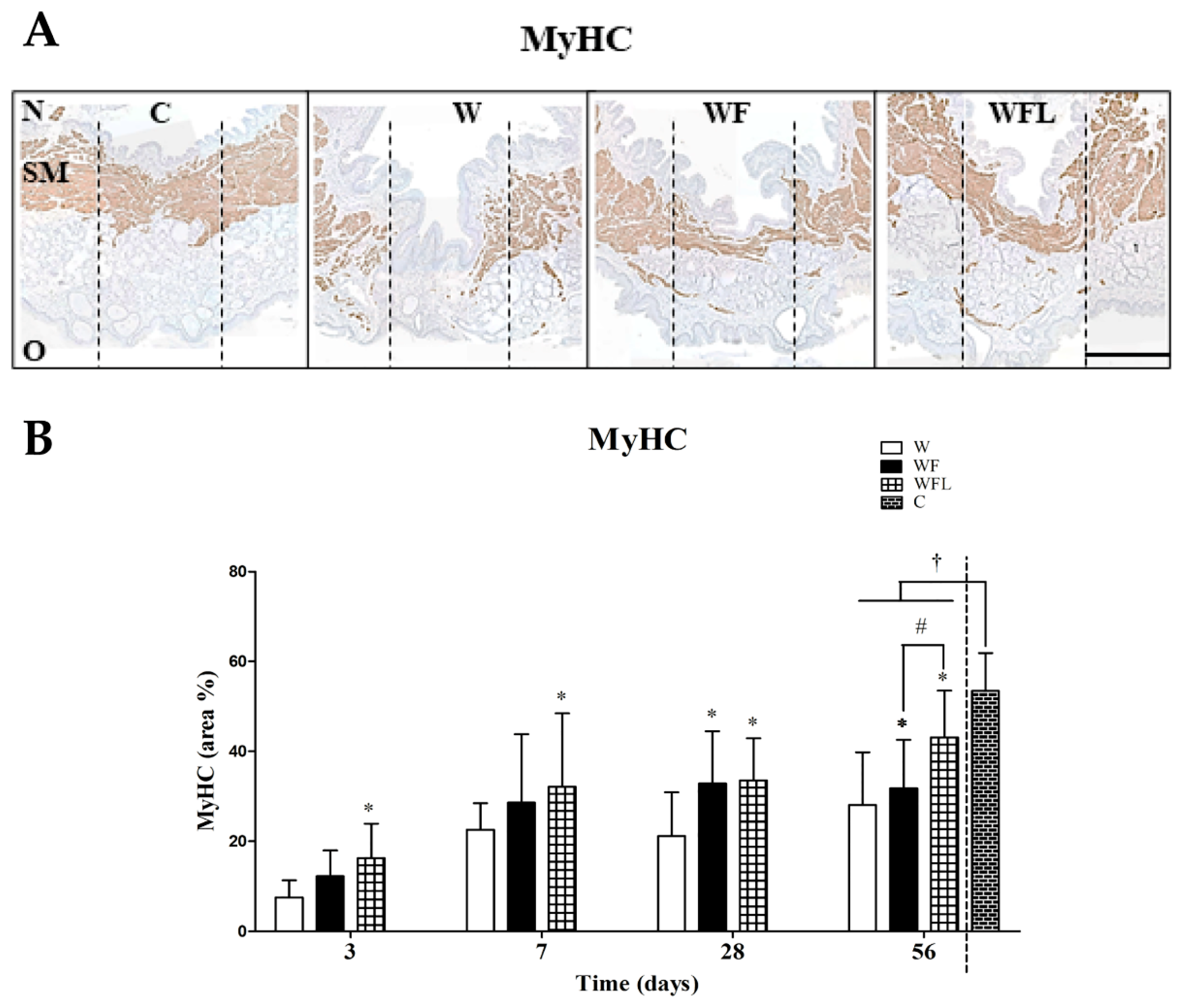 Biomolecules 11 01547 g005 Biomolecules 11 01547 g005