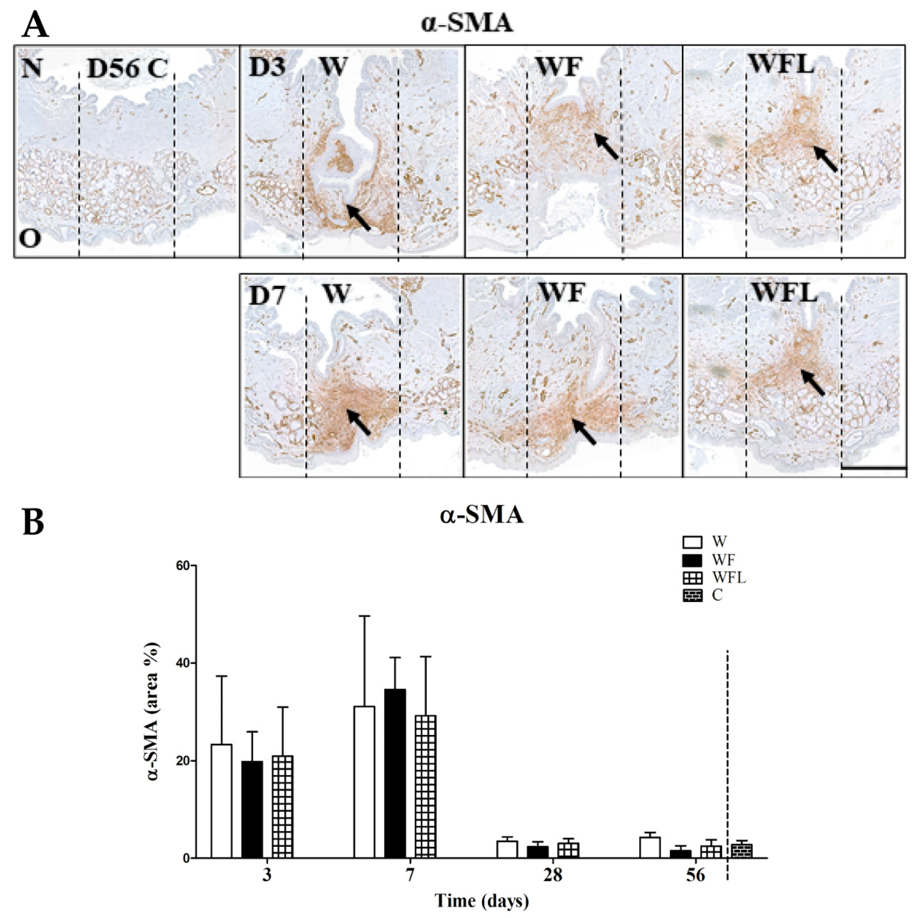 Biomolecules 11 01547 g006 Biomolecules 11 01547 g006