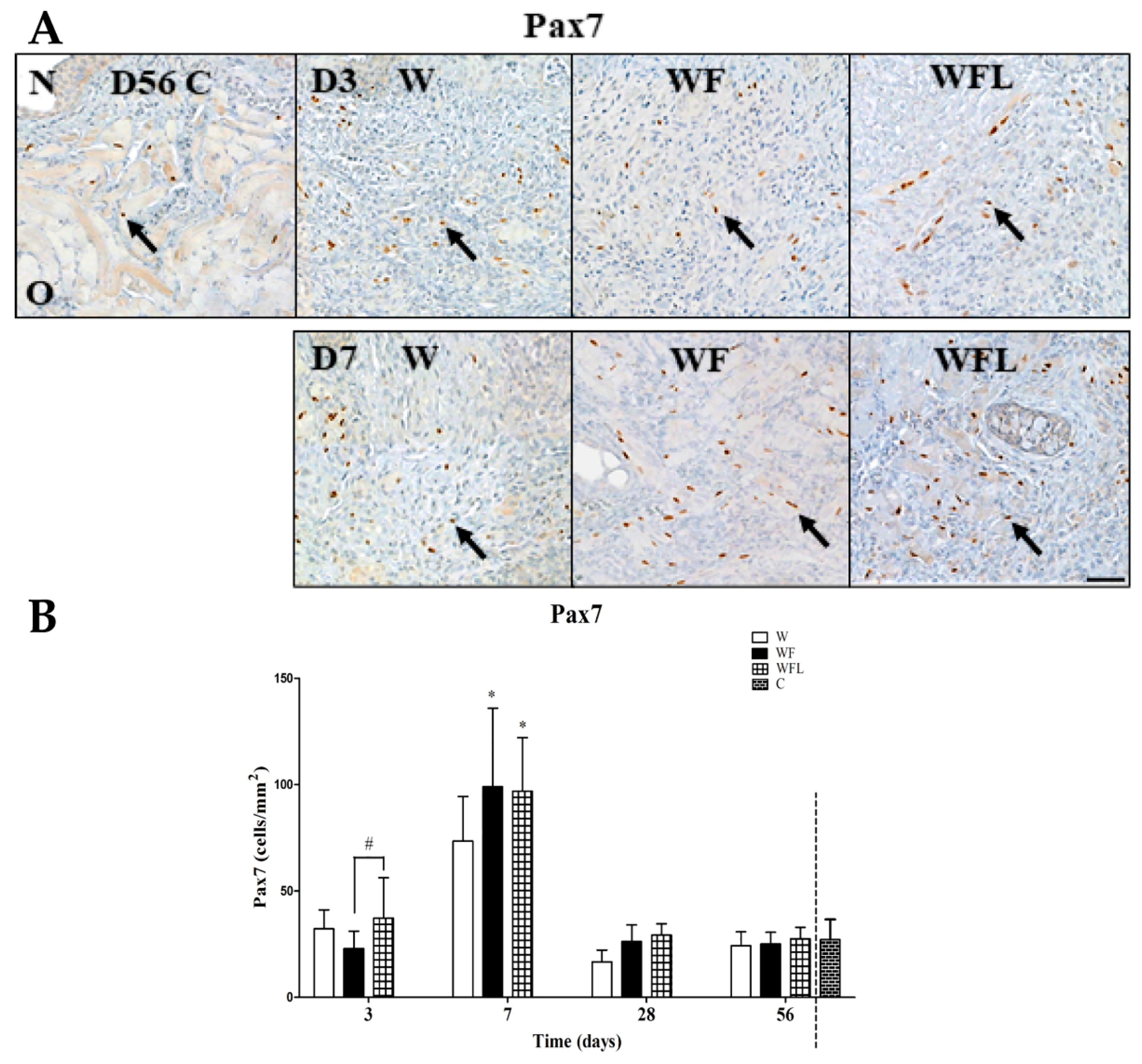 Biomolecules 11 01547 g007 Biomolecules 11 01547 g007