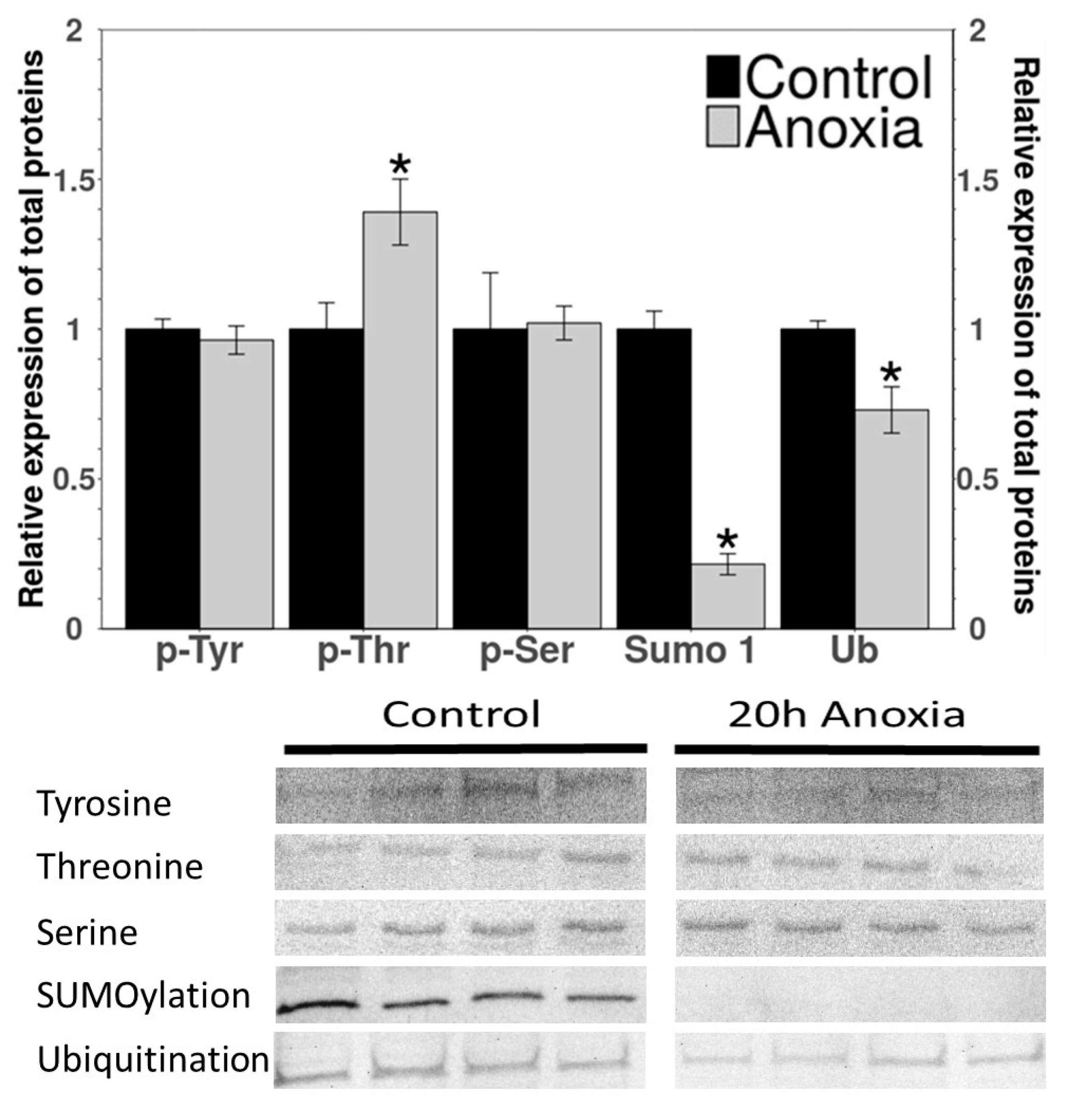 Biomolecules 11 01548 g003