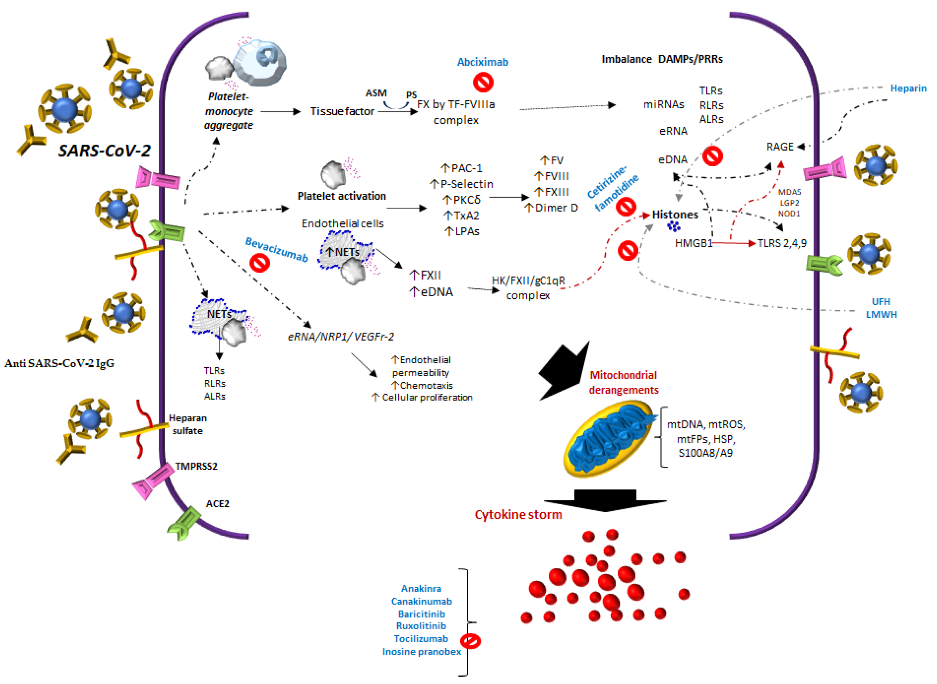 Biomolecules 11 01550 g001