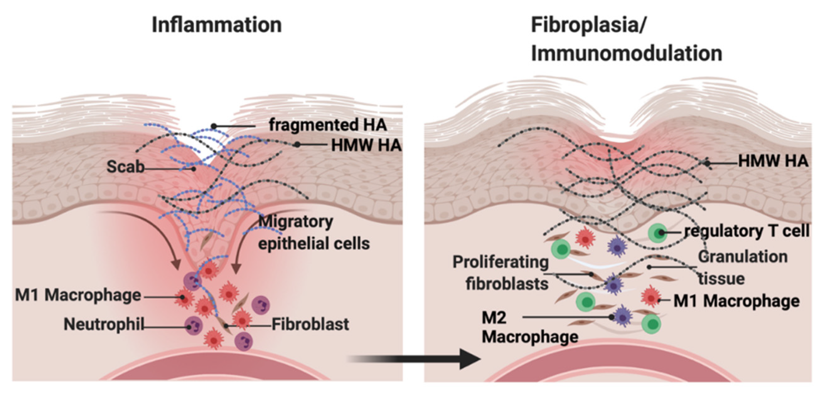 Biomolecules 11 01551 g001