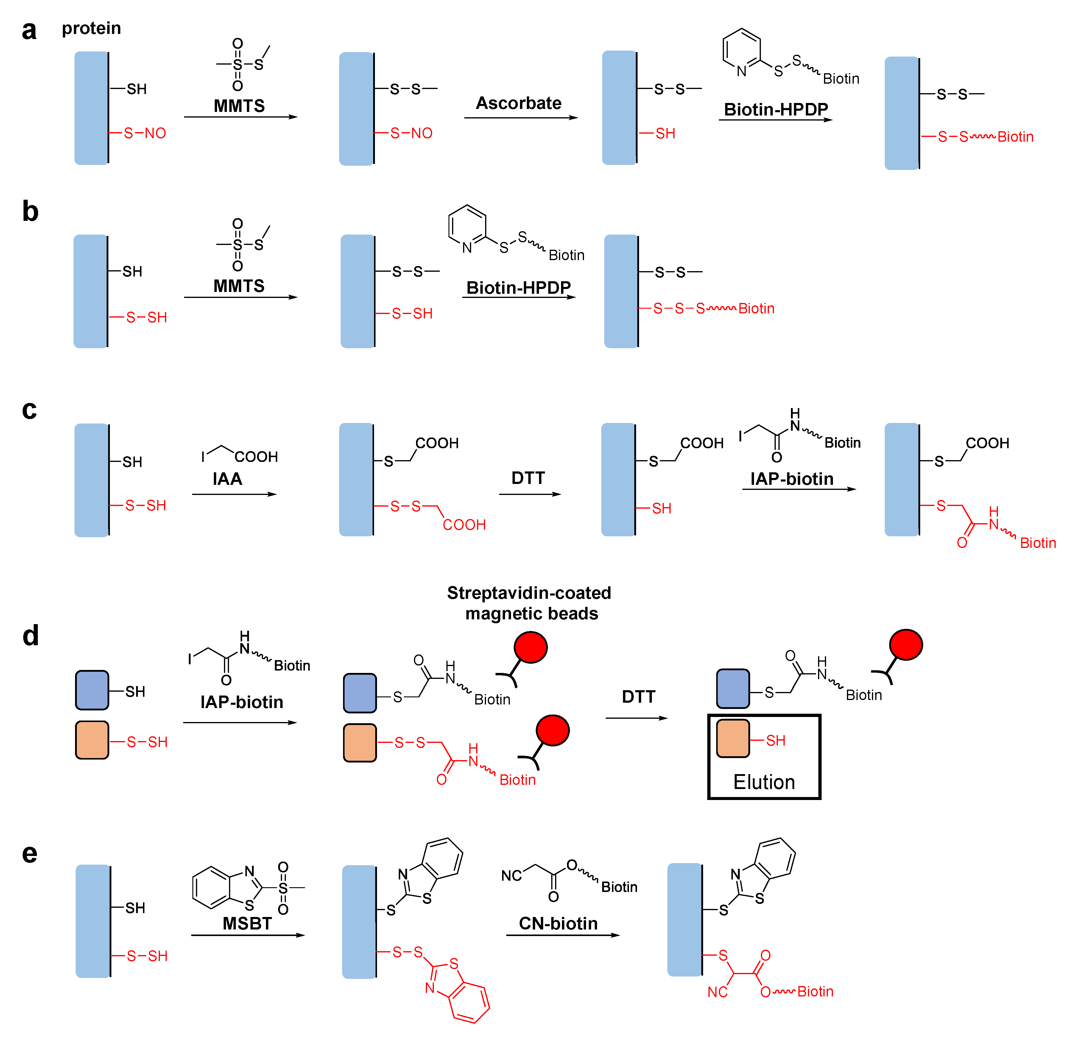 Biomolecules 11 01553 g001