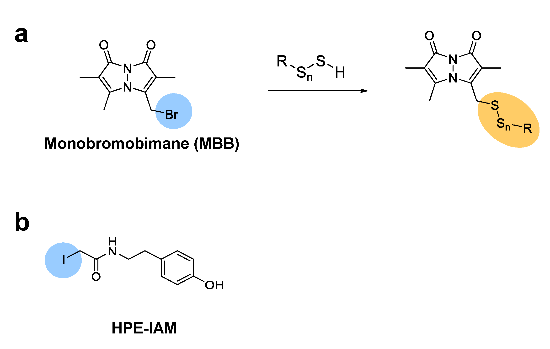 Biomolecules 11 01553 g002