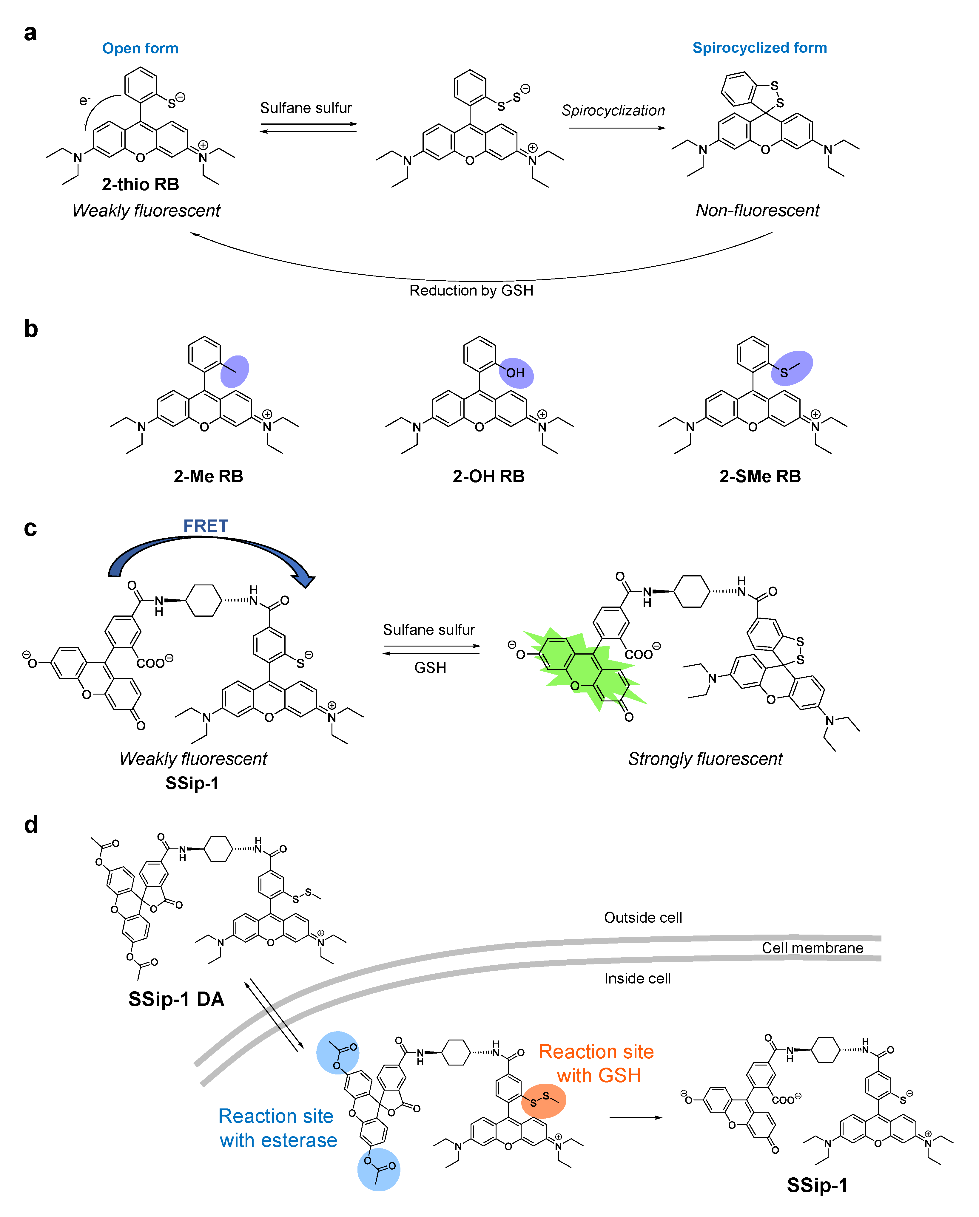 Biomolecules 11 01553 g004