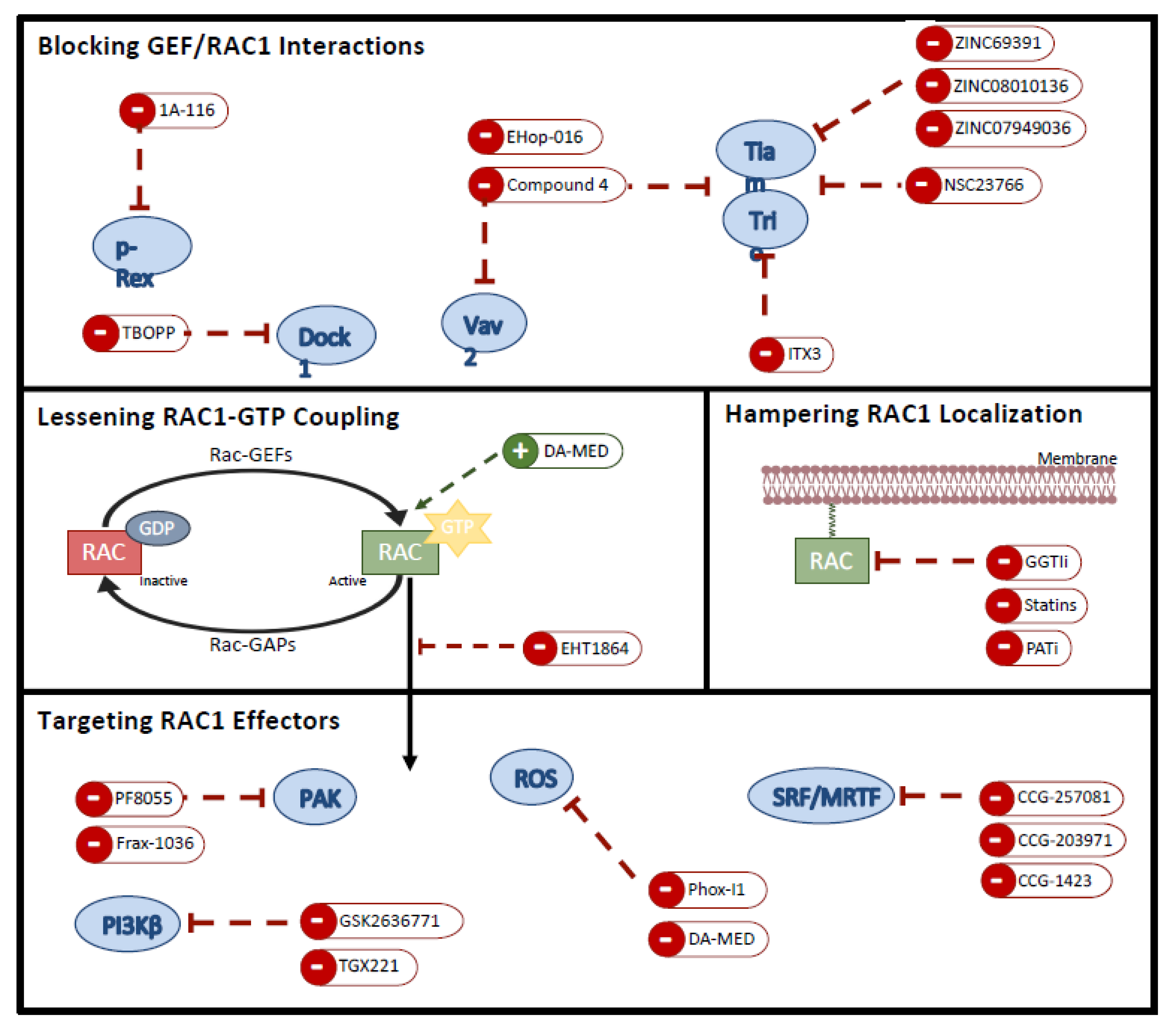 Biomolecules 11 01554 g002