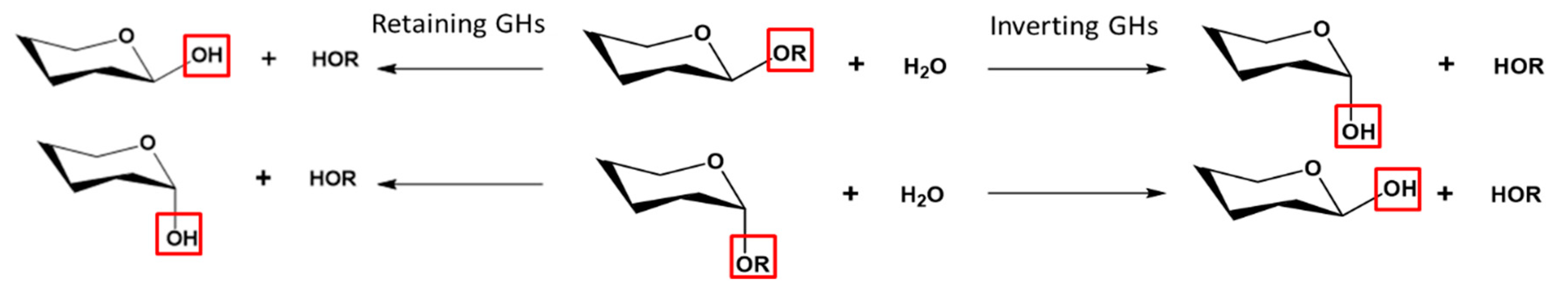 Biomolecules 11 01557 g001