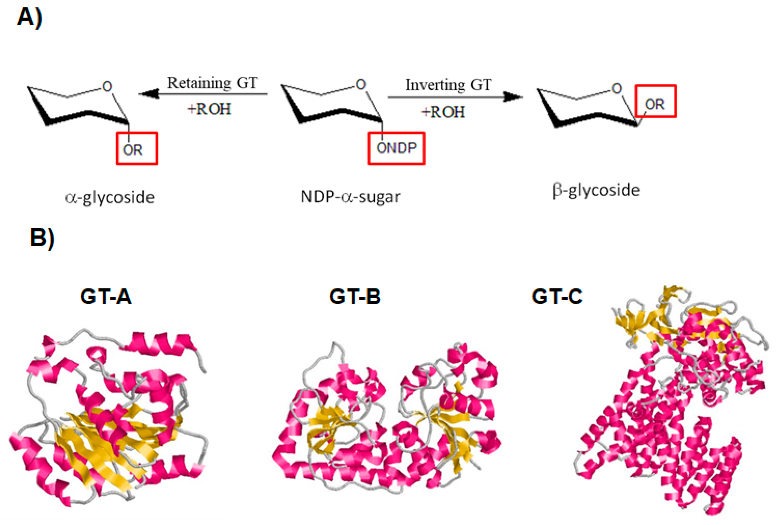 Biomolecules 11 01557 g006