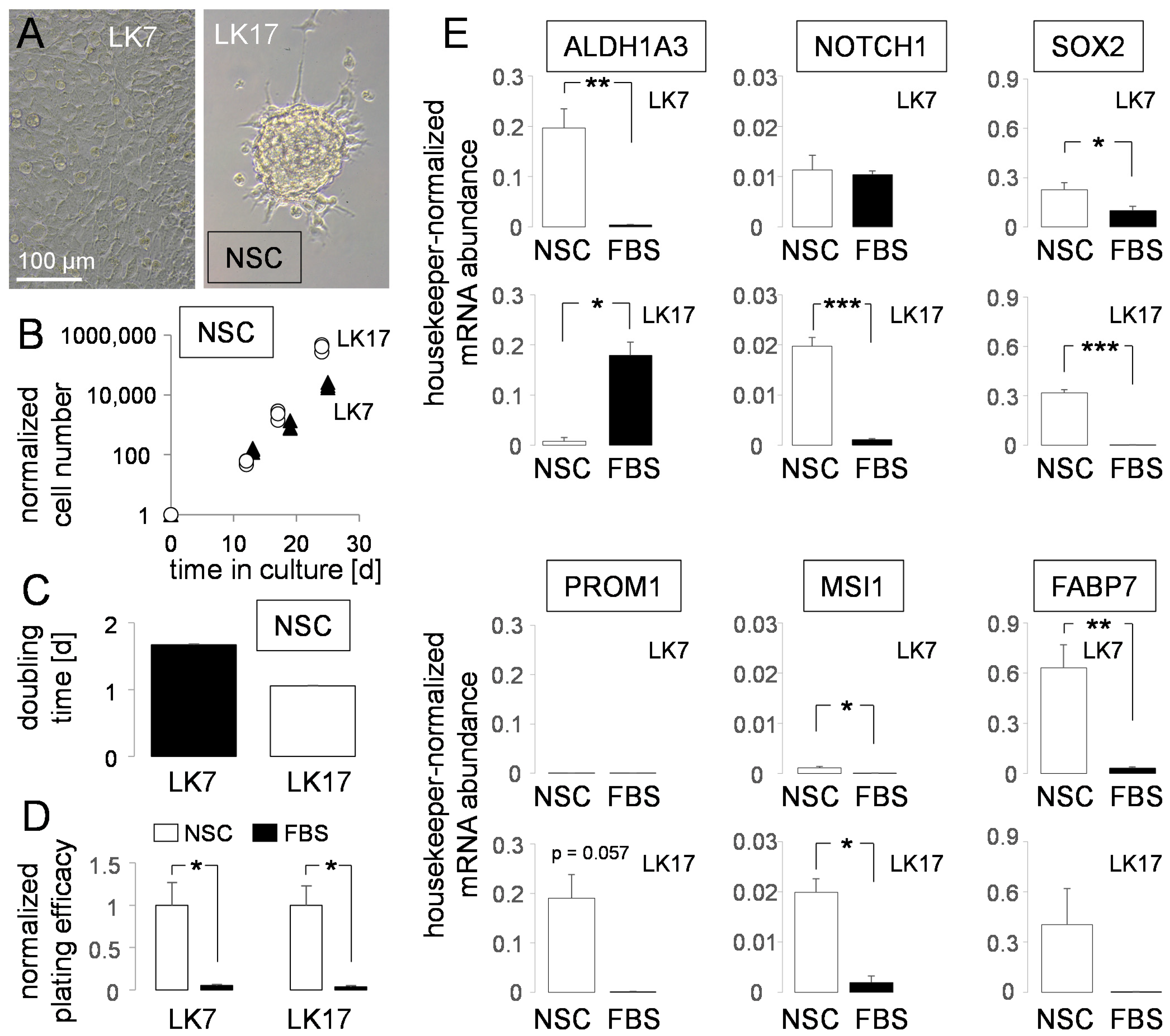 Biomolecules 11 01561 g001