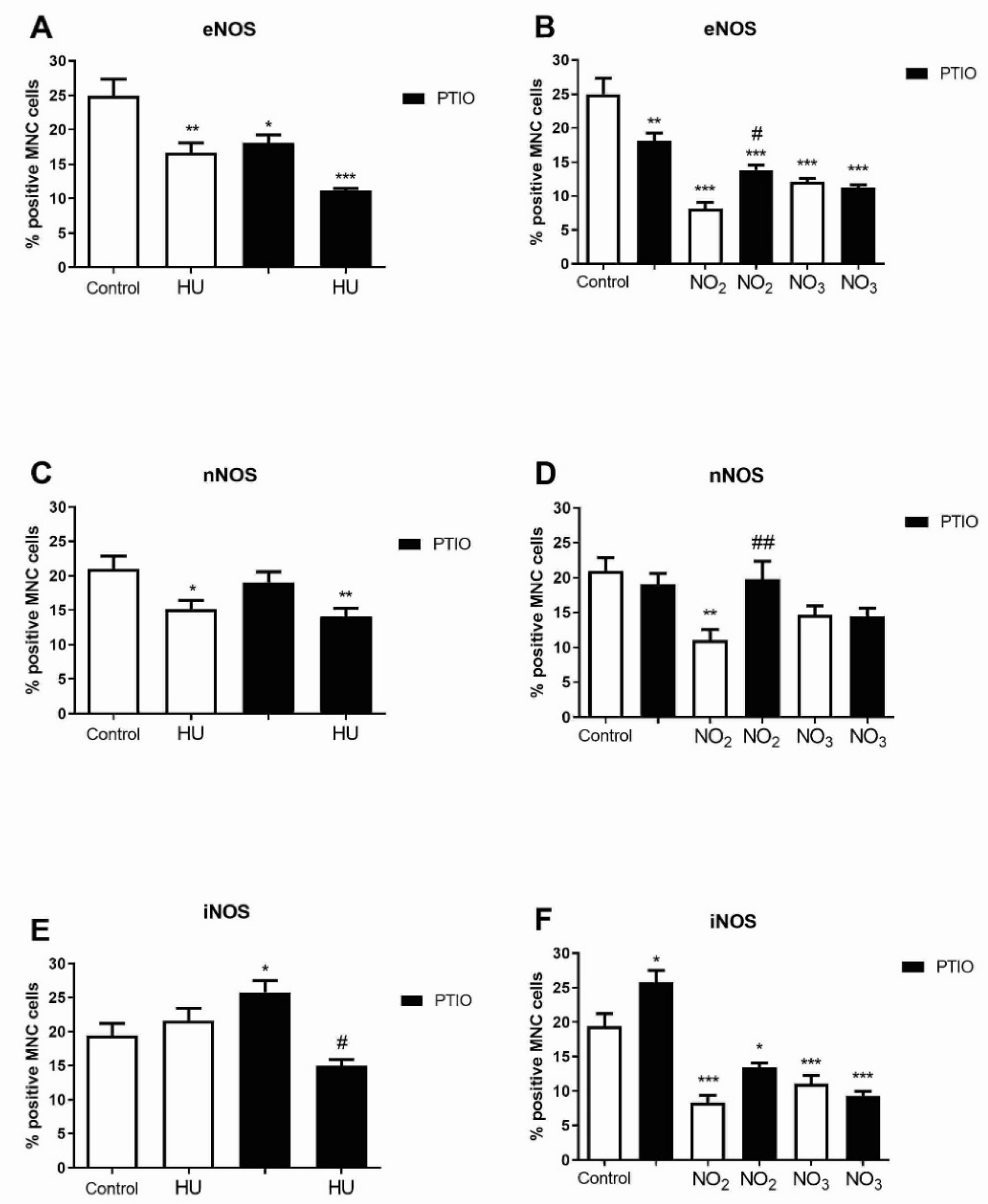 Biomolecules 11 01562 g004