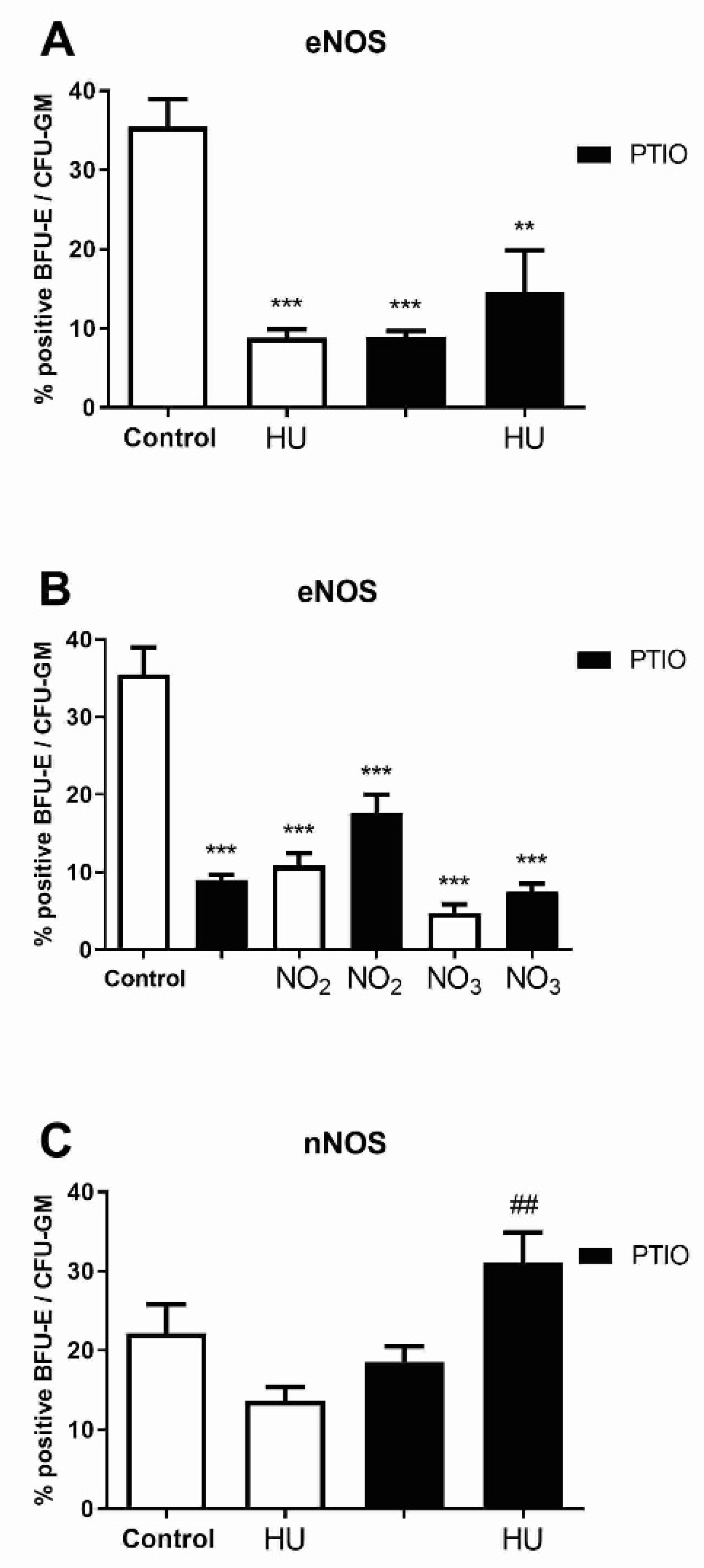 Biomolecules 11 01562 g006