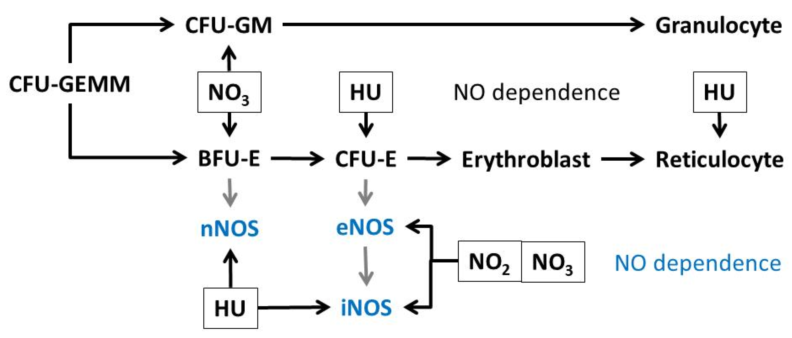 Biomolecules 11 01562 sch001