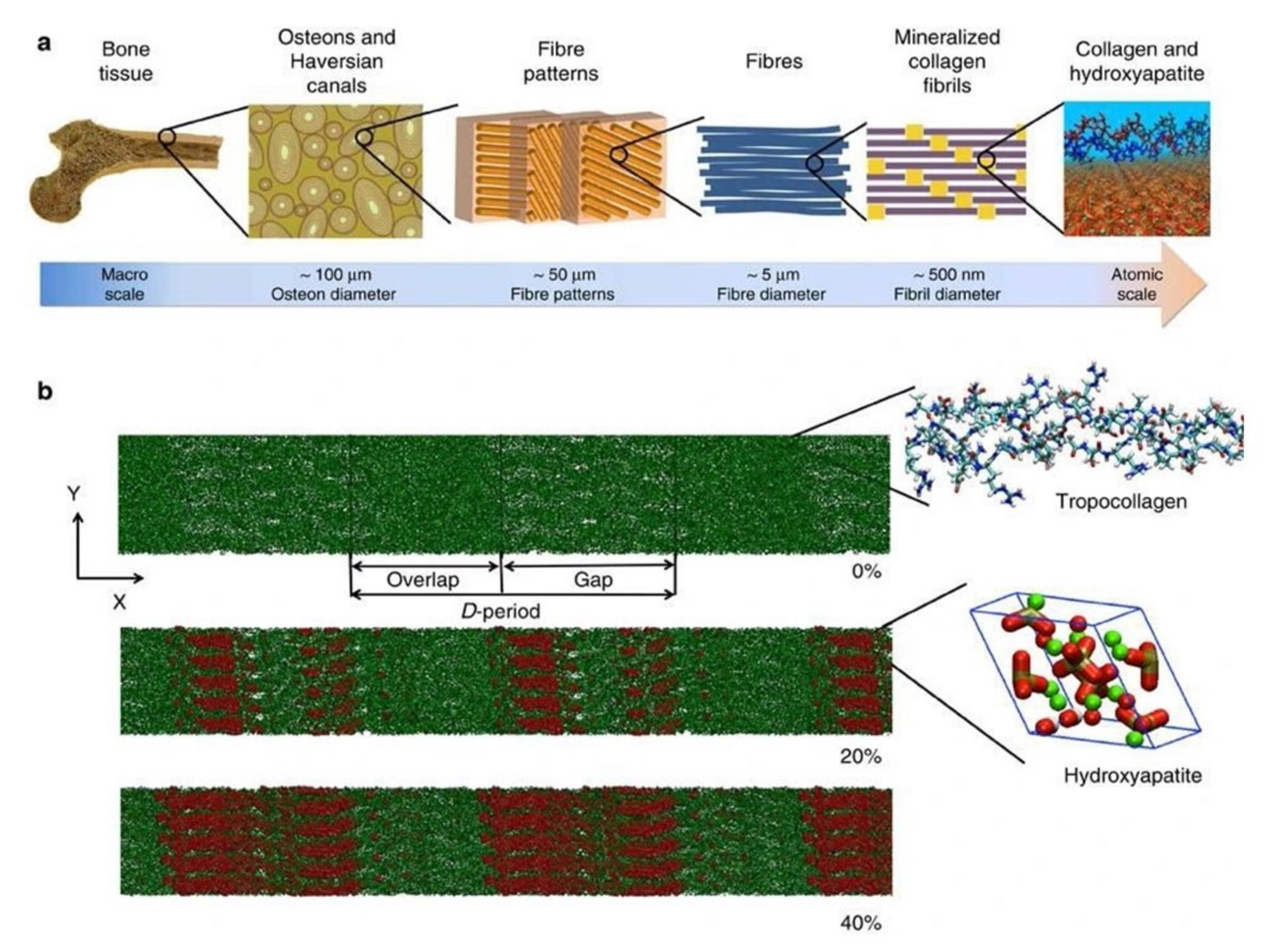 Biomolecules 11 01564 g001
