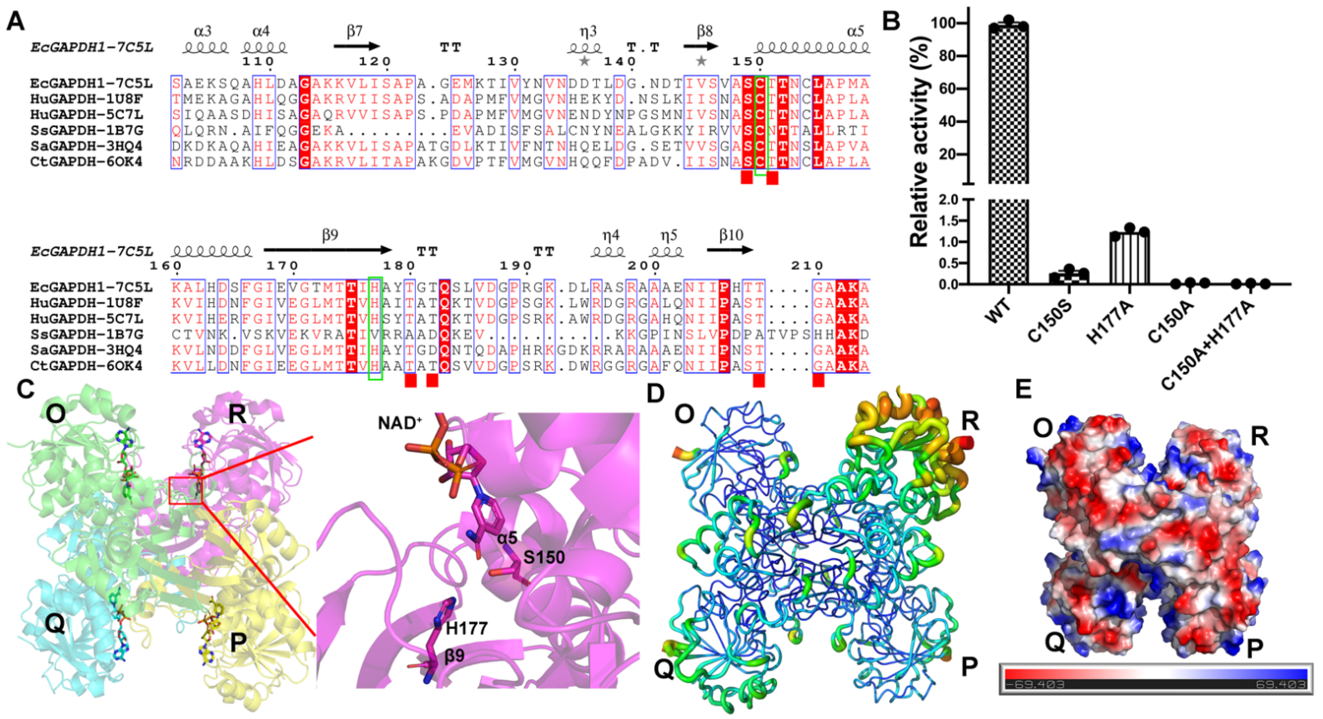 Biomolecules 11 01565 g001