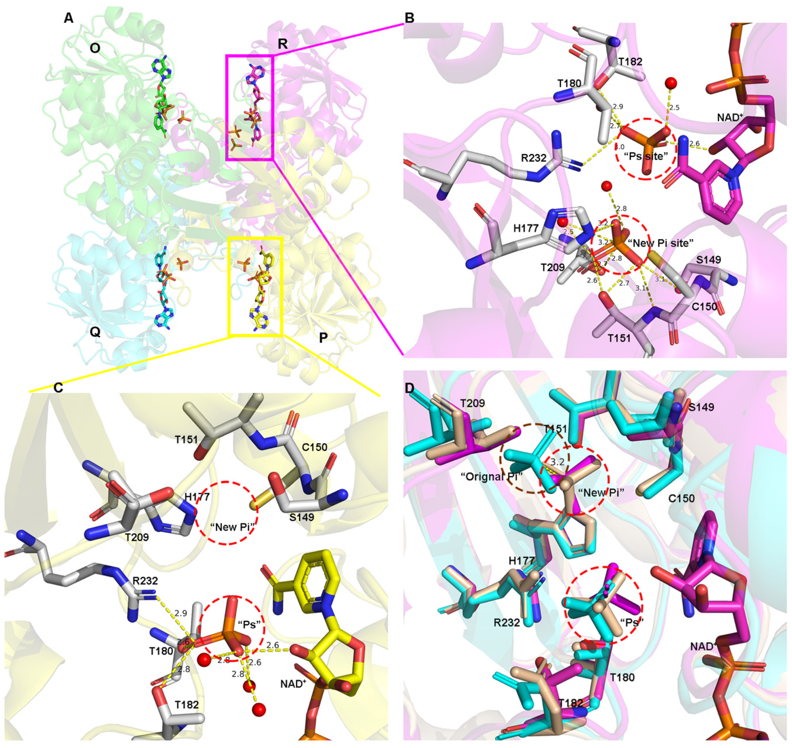 Biomolecules 11 01565 g002
