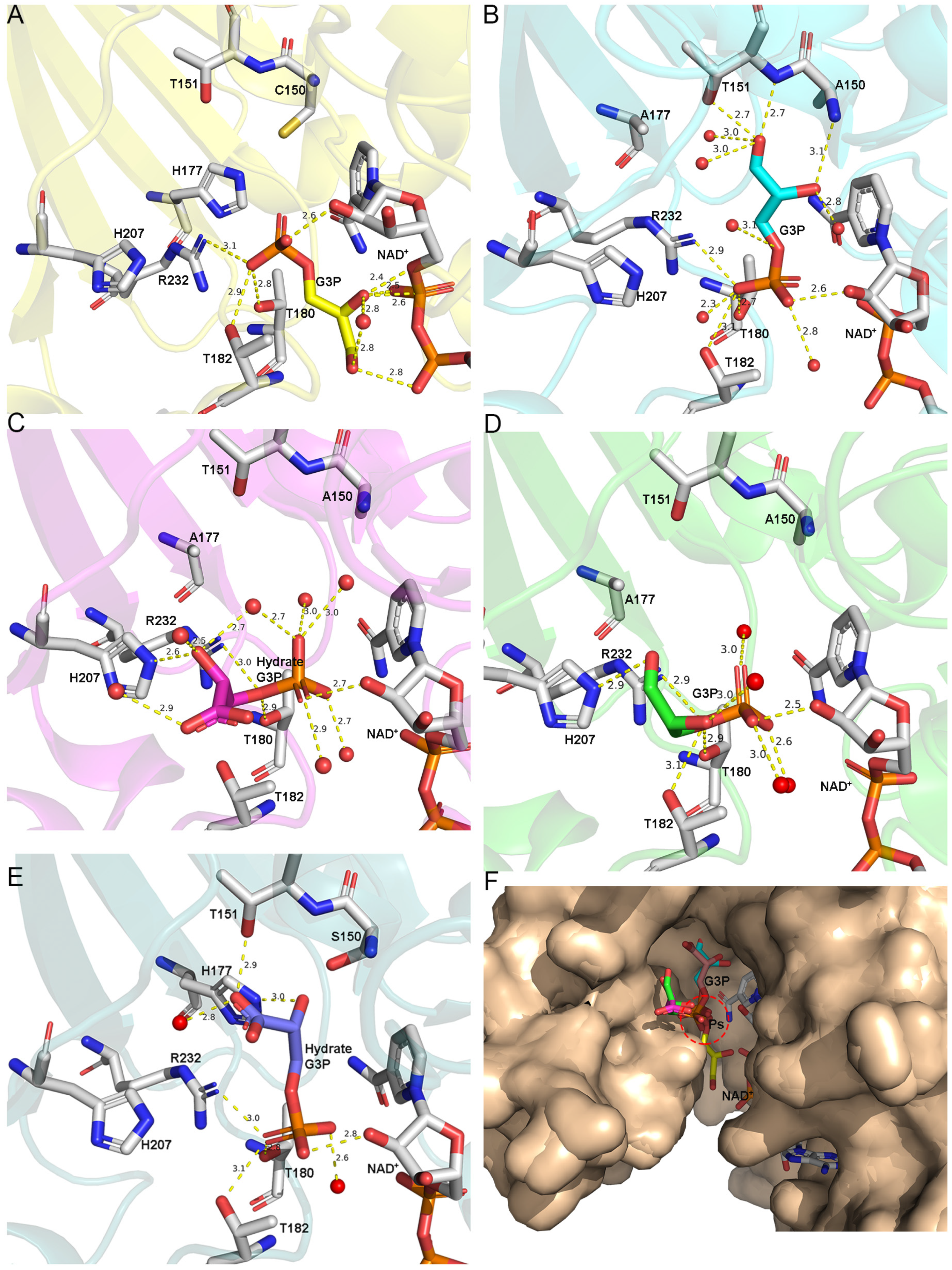 Biomolecules 11 01565 g003