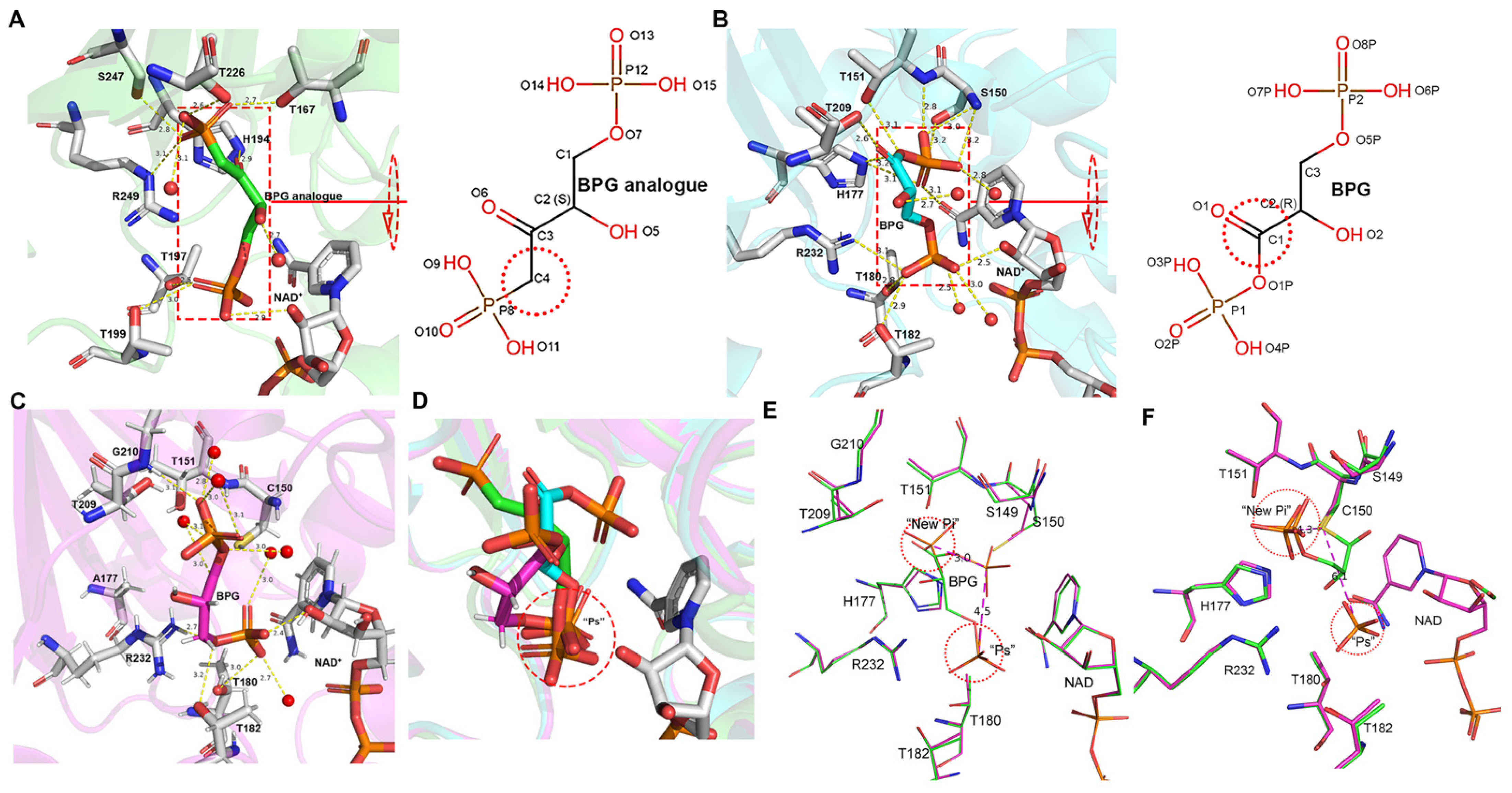 Biomolecules 11 01565 g005