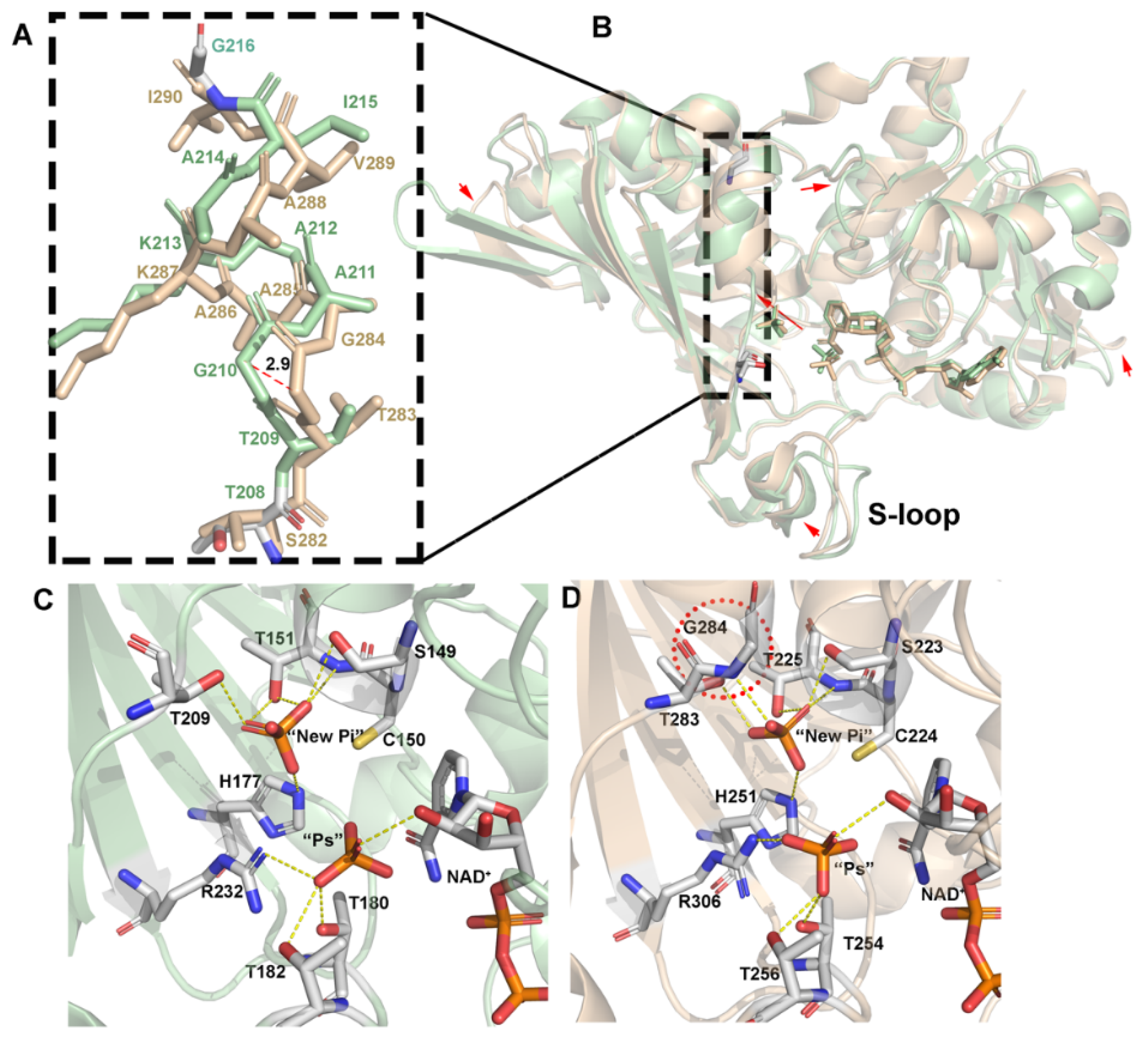 Biomolecules 11 01565 g006