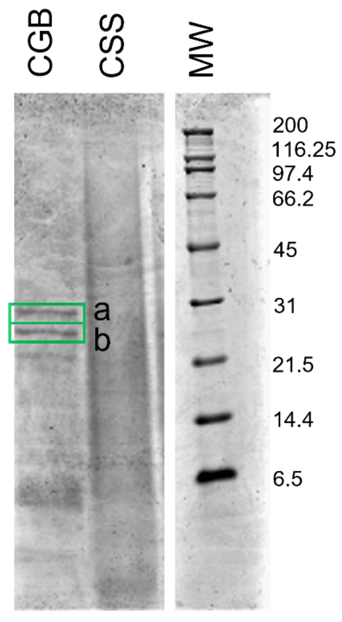 Biomolecules 11 01571 g002