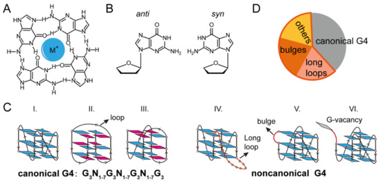 【超安い】 Proteins with Interactions  and Dynamics Folding/Unfolding G-Quadruplexes of Characterization from Spectroscopy Force Single-Molecule トップス
