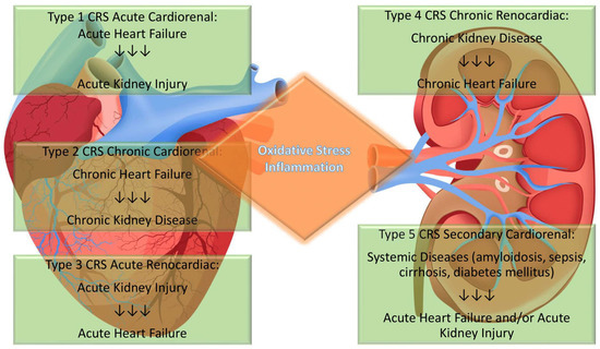 Cardiorenal Syndrome: New Pathways and Novel Biomarkers