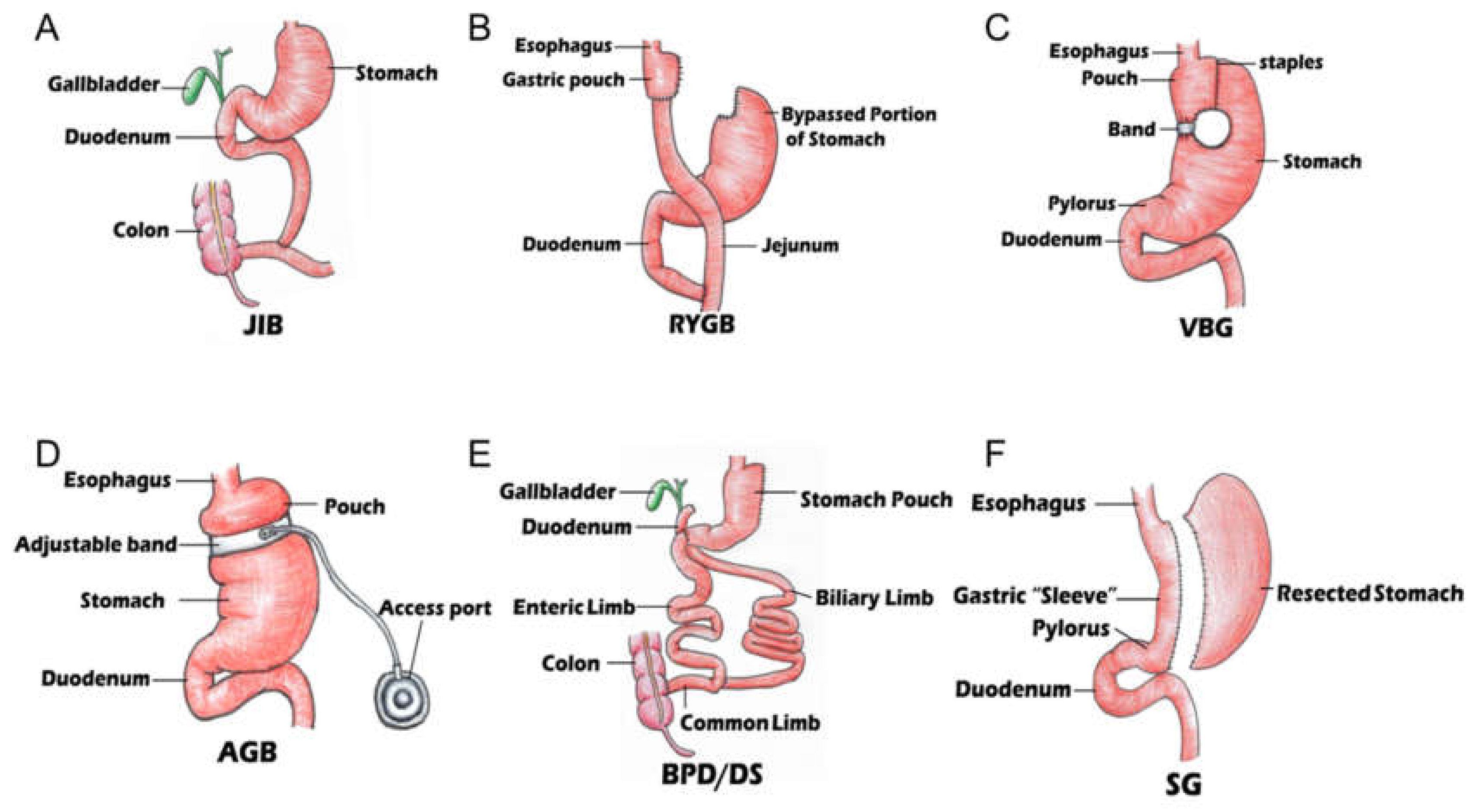 Biomolecules 11 01582 g001