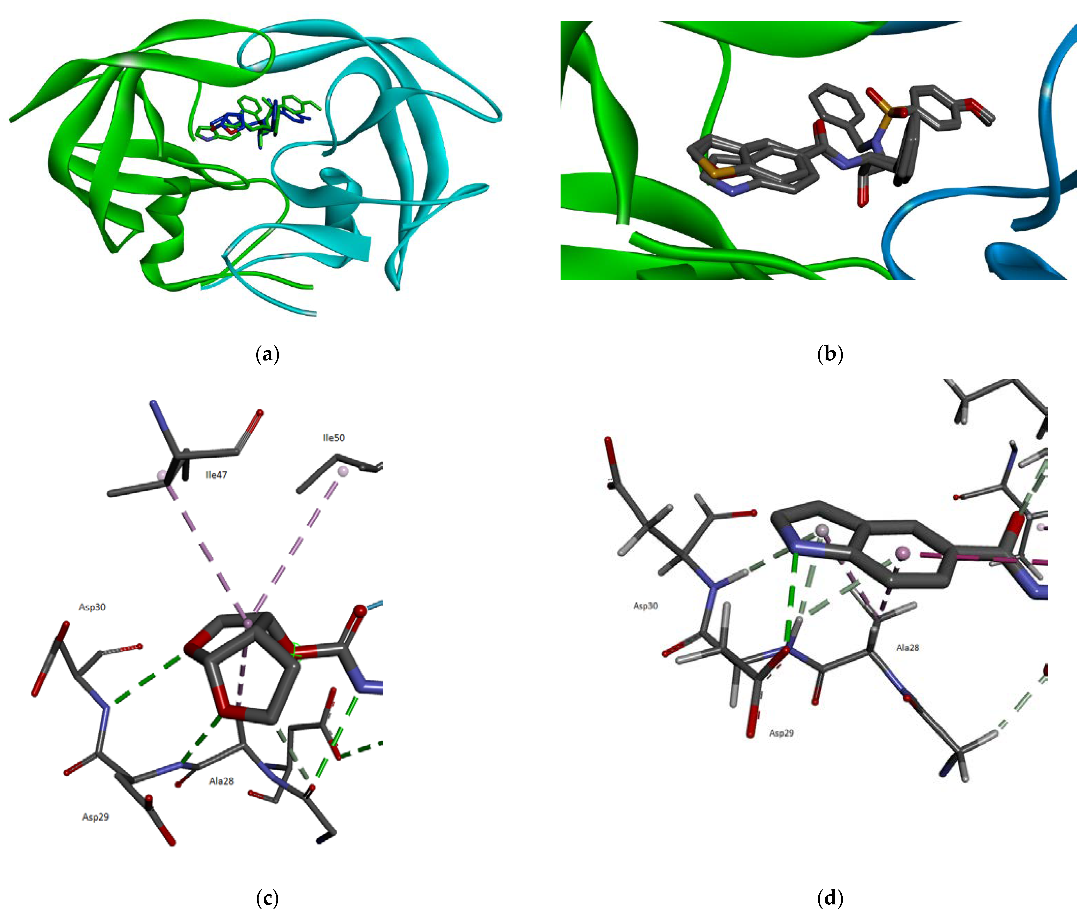 Biomolecules 11 01584 g003