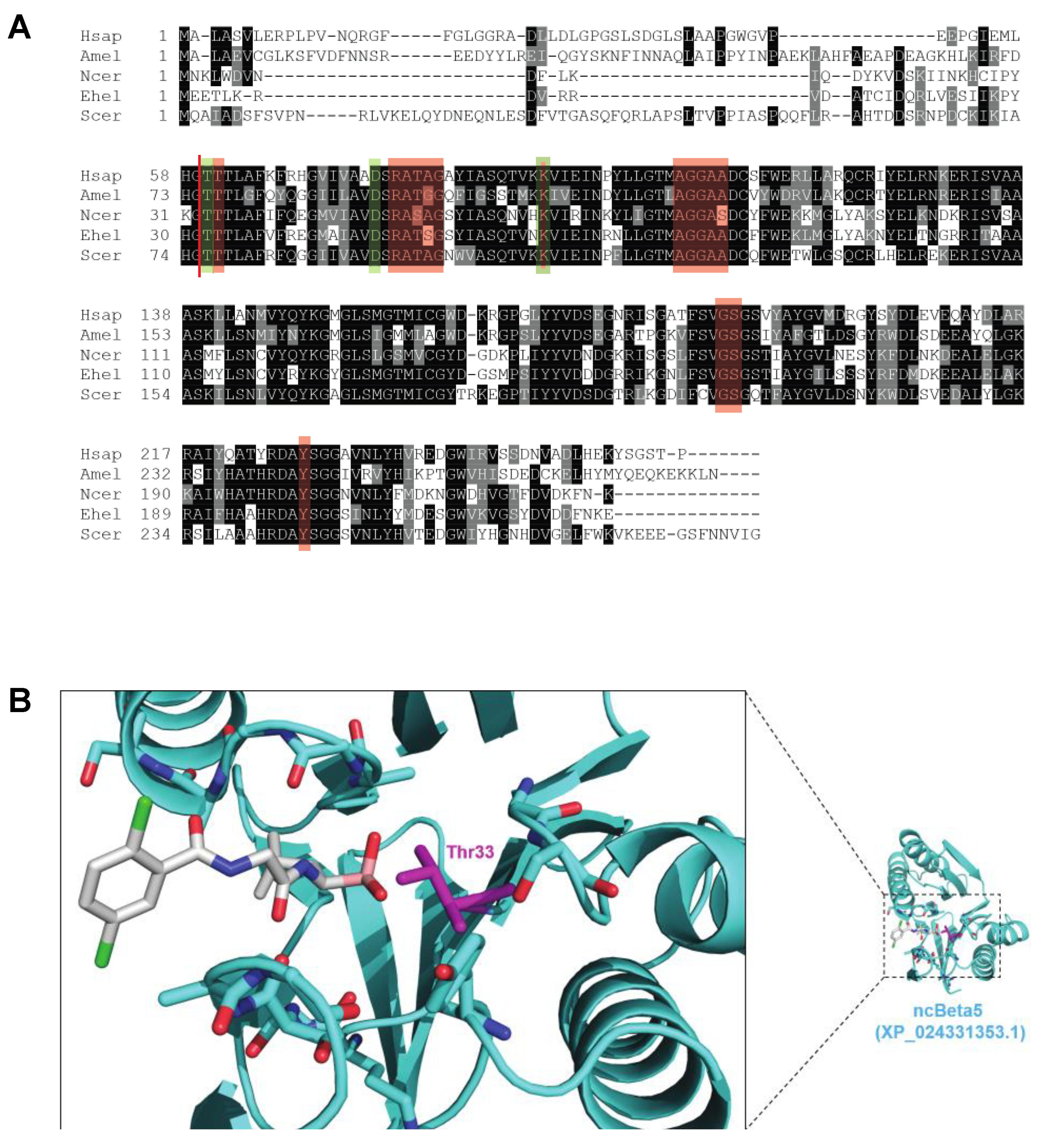 Biomolecules 11 01600 g002