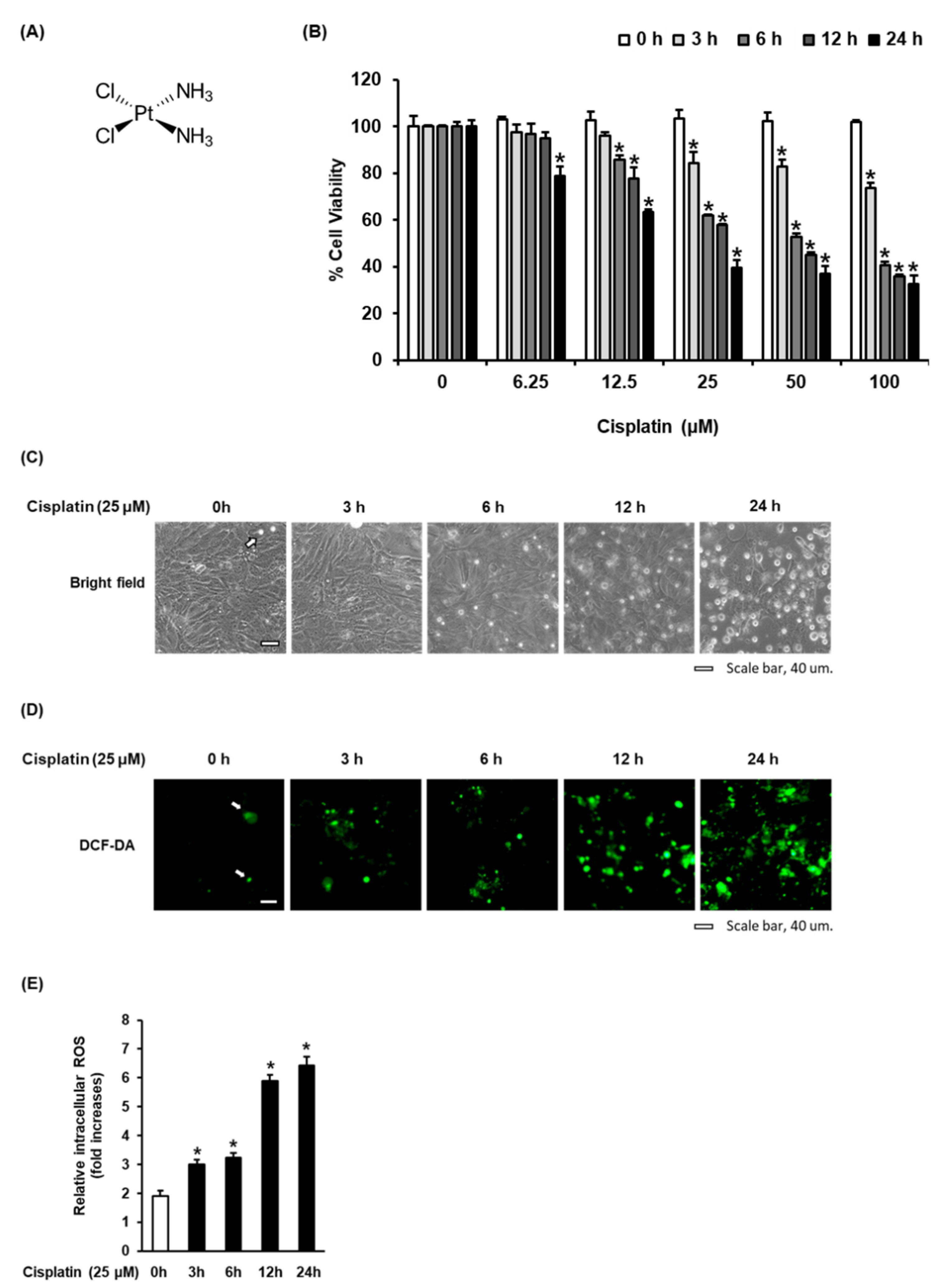 Biomolecules 11 01614 g001