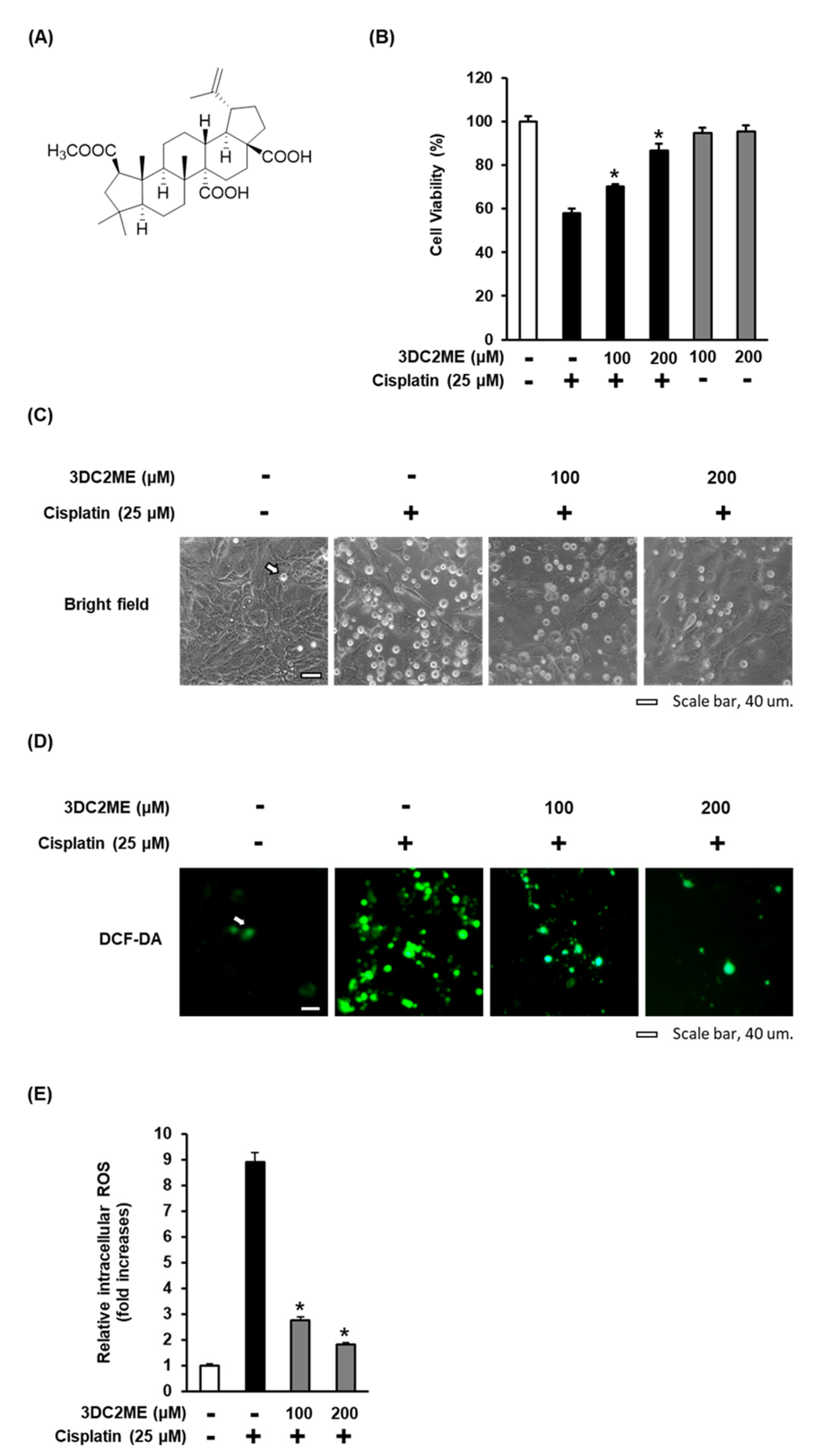 Biomolecules 11 01614 g002