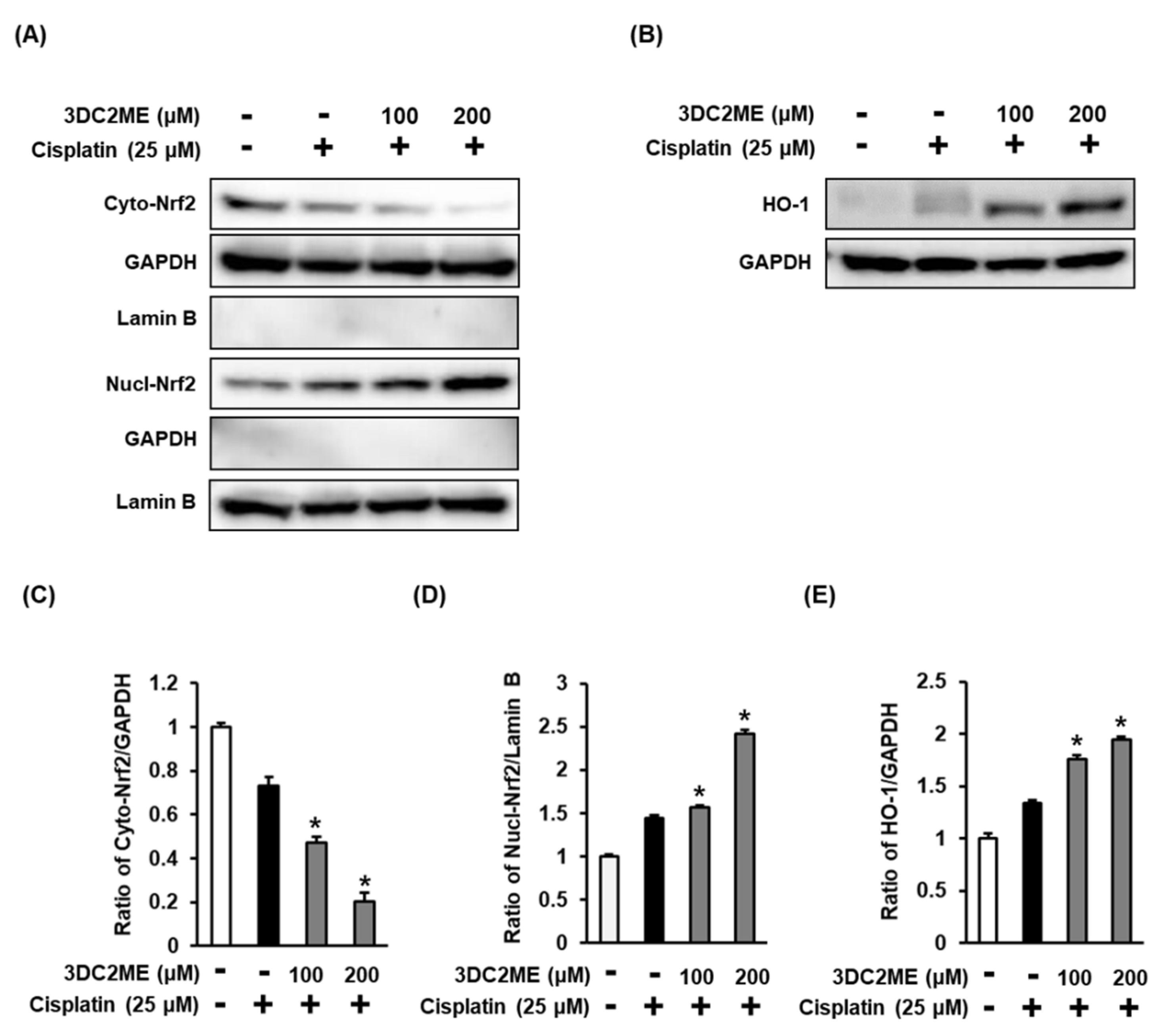 Biomolecules 11 01614 g003