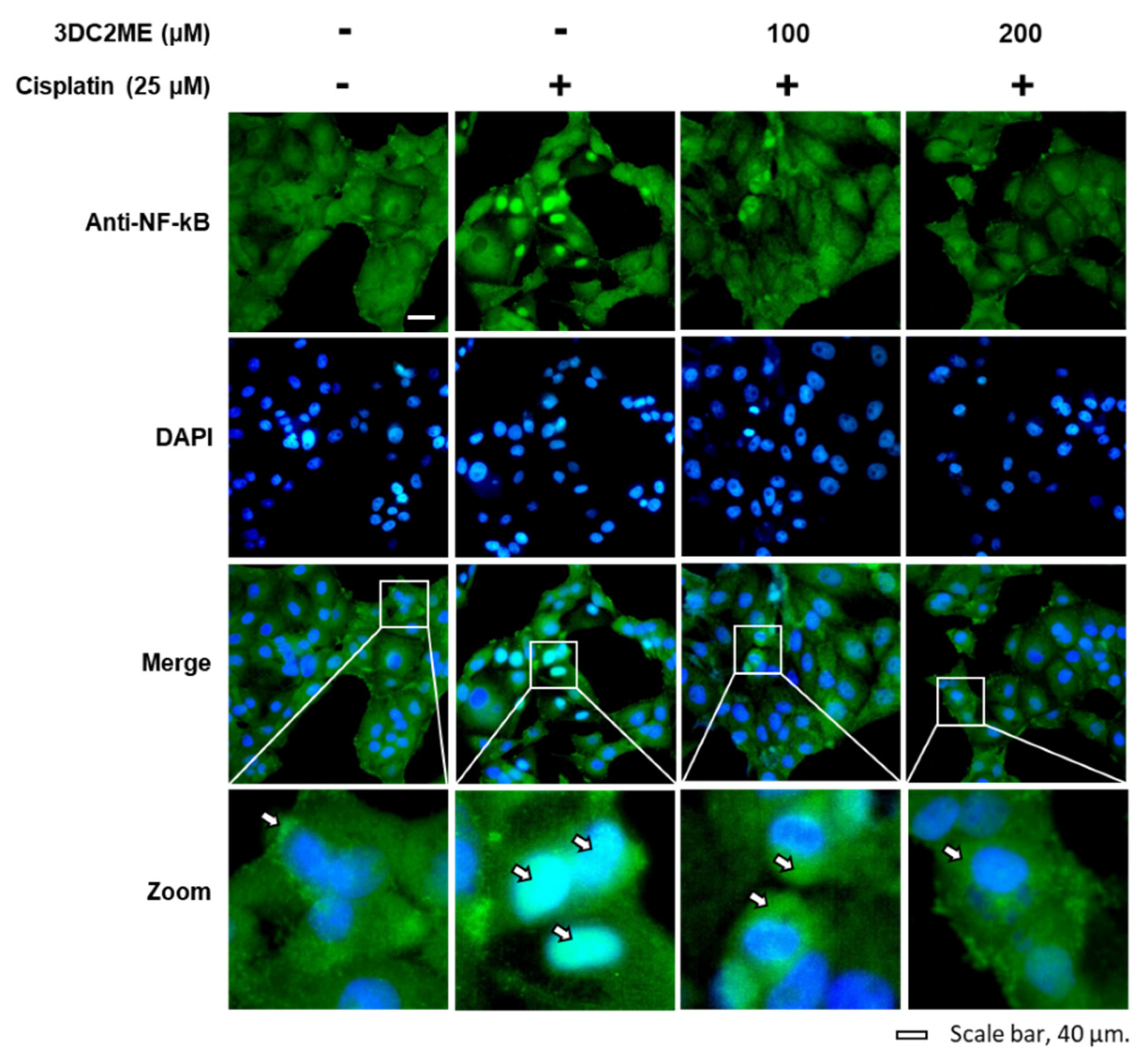 Biomolecules 11 01614 g006