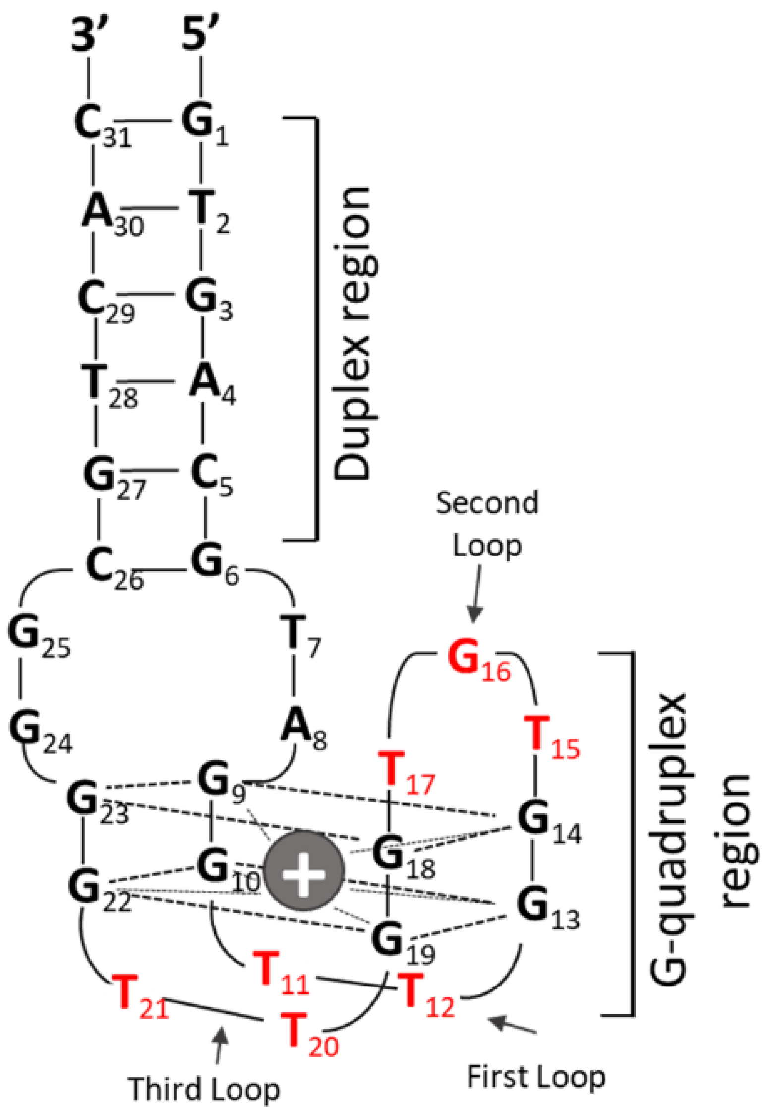 Biomolecules 11 01617 g001